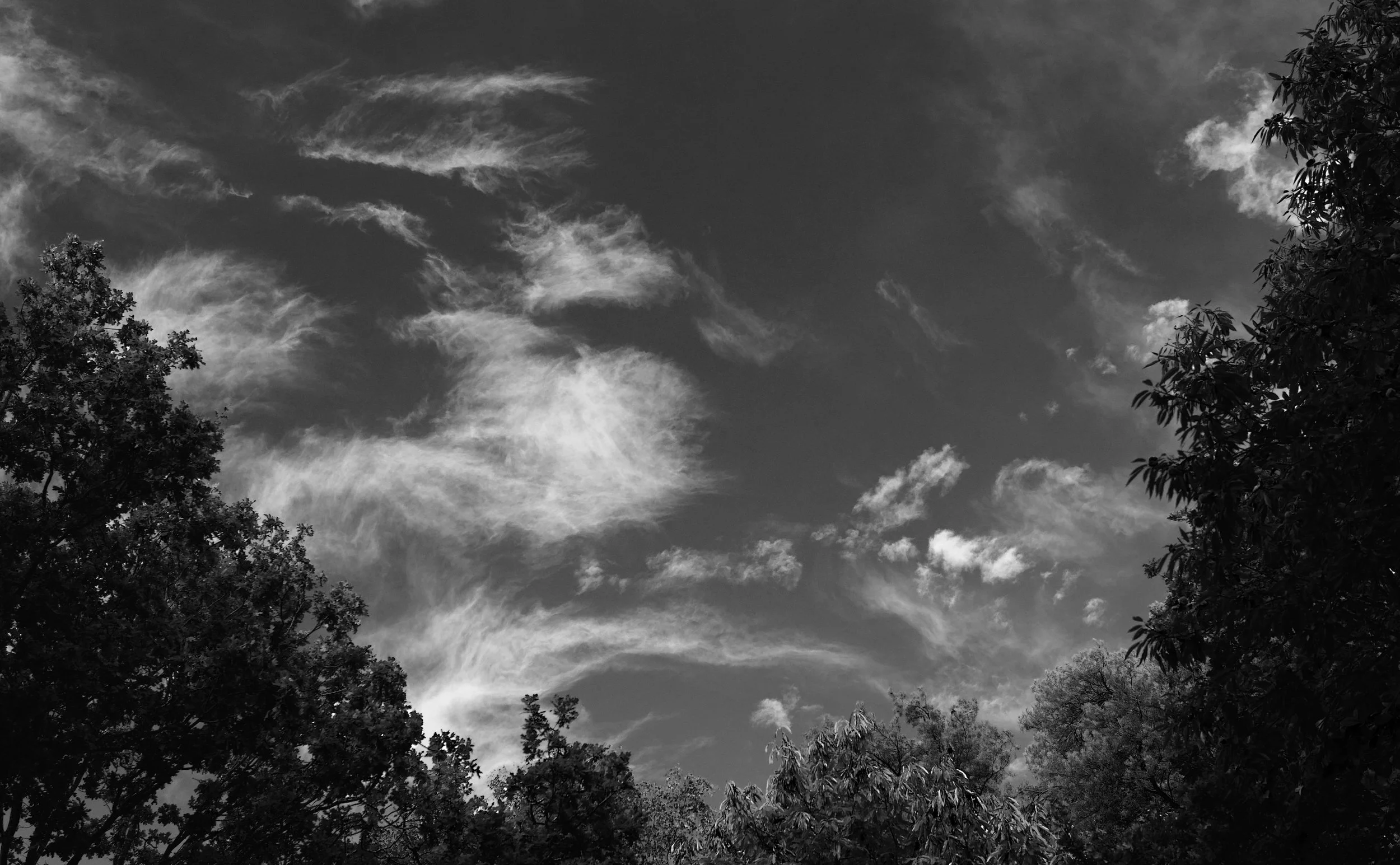 Cloudscape.jpg