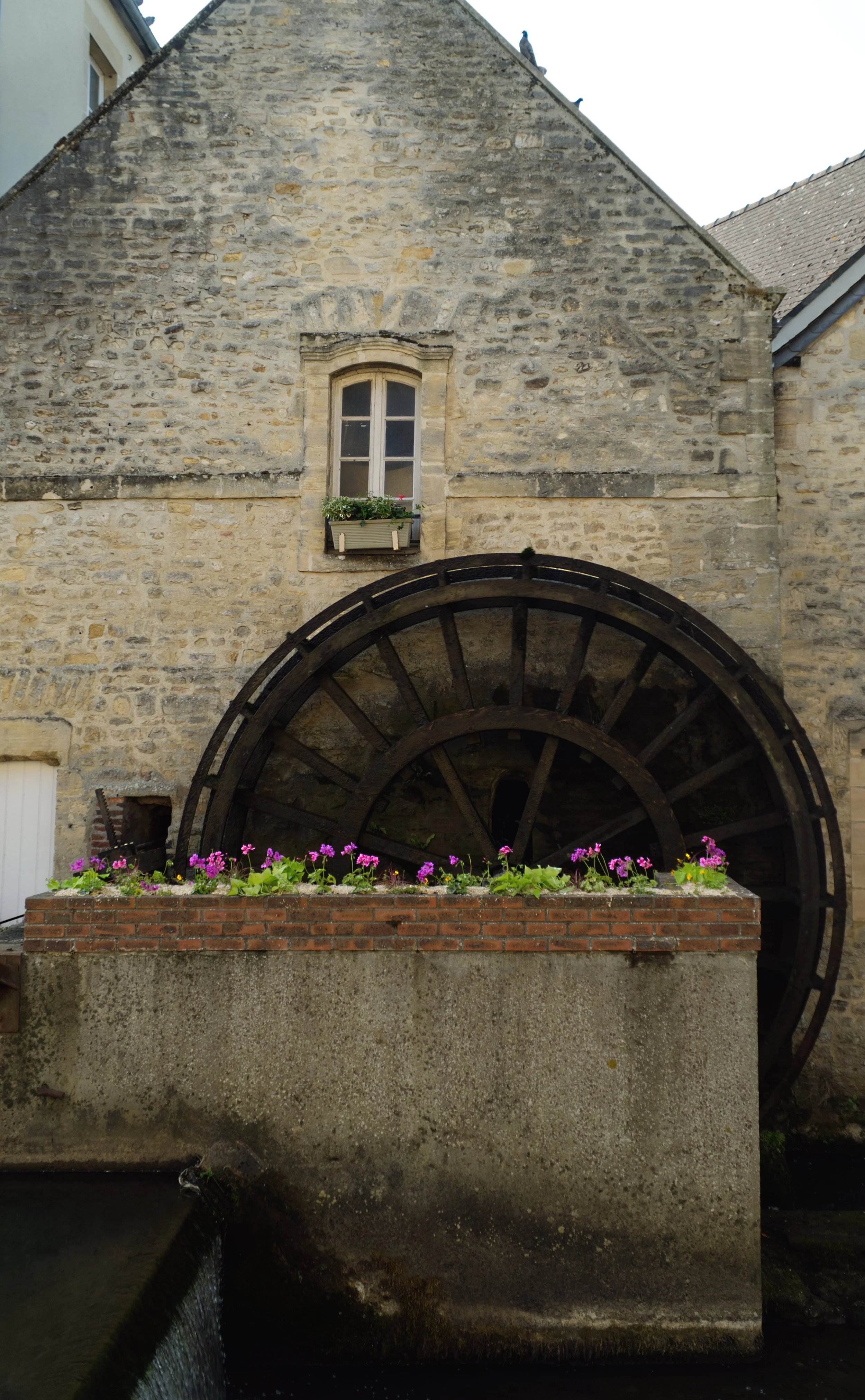 Water wheel.jpg