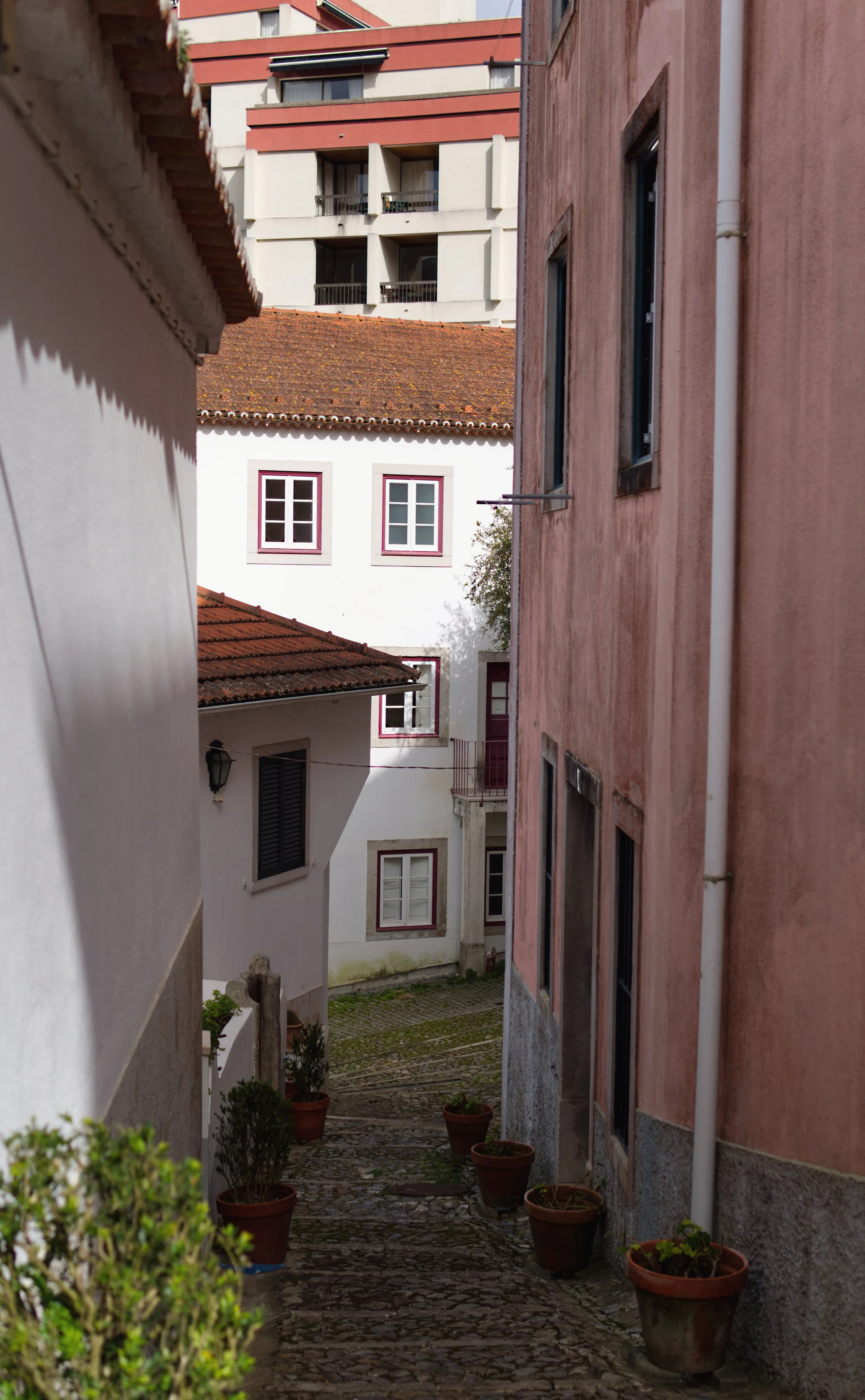 White Walls.jpg
