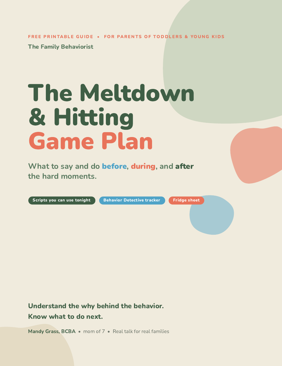 Meltdown_Hitting_Game_Plan_page1_preview.png
