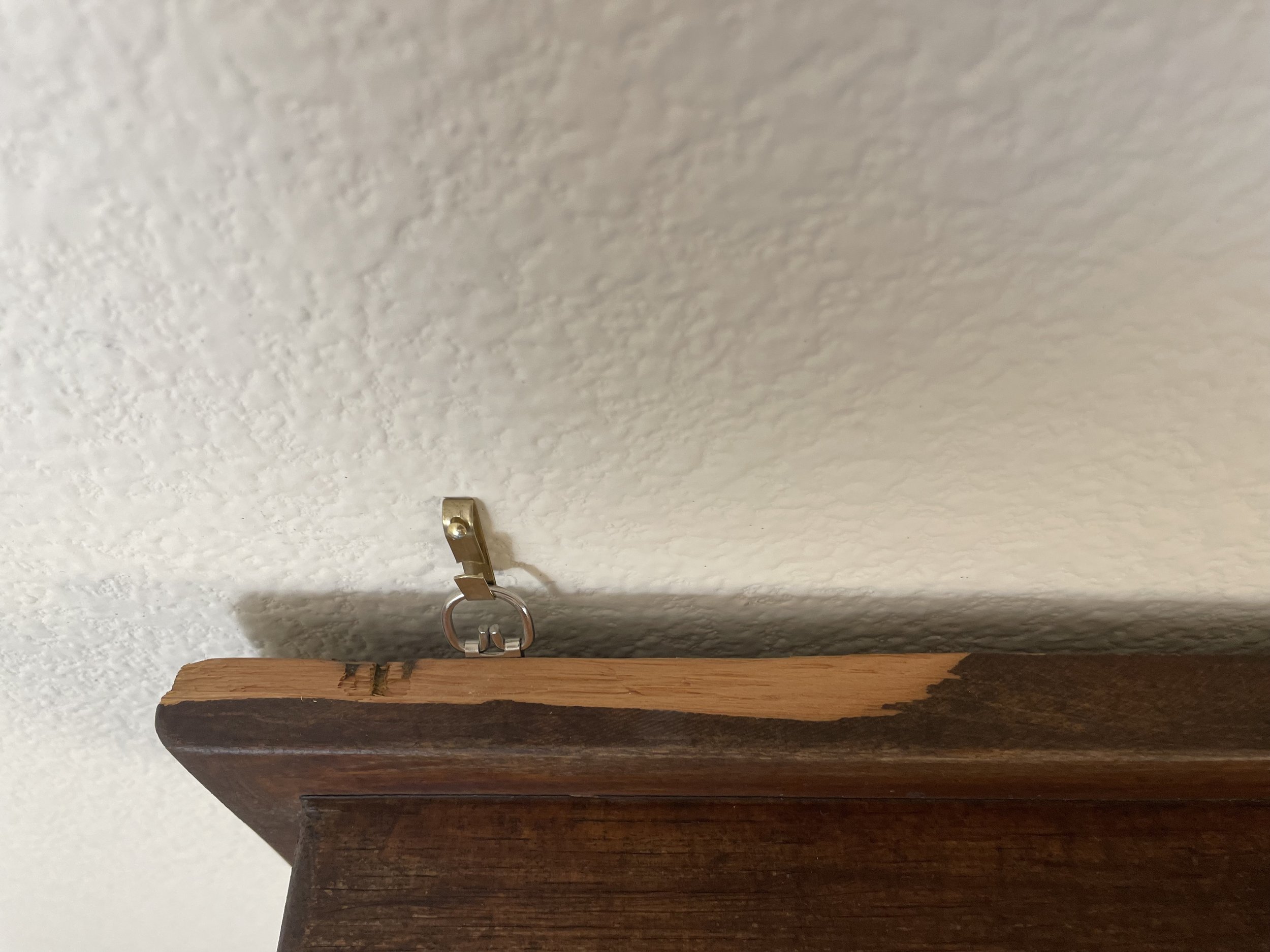 IMG_4485.jpeg