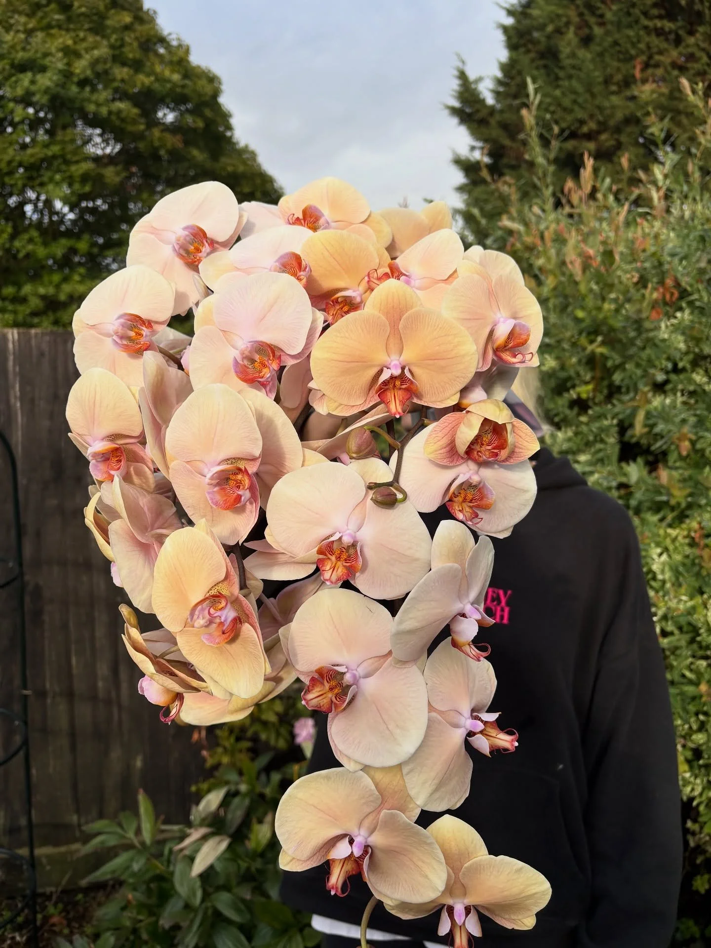 September BTS recap! 

1. Orchids from heaven 💫
2. Beauty amongst the chaos 🌸
3. Soph looking cute and ready for a big set up 💪🏼
4. Single varieties in all their glory 💐
5. Gloriously full studio for the last time this summer!! 🥰
6. Table bowl 