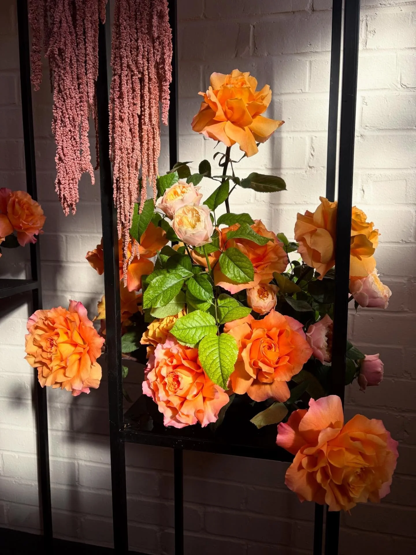Sunshine stealing the show 🧡💫
#flowers #florist #floristry #studio #flowerstudio #weddingflowers #wedding #weddingflorist