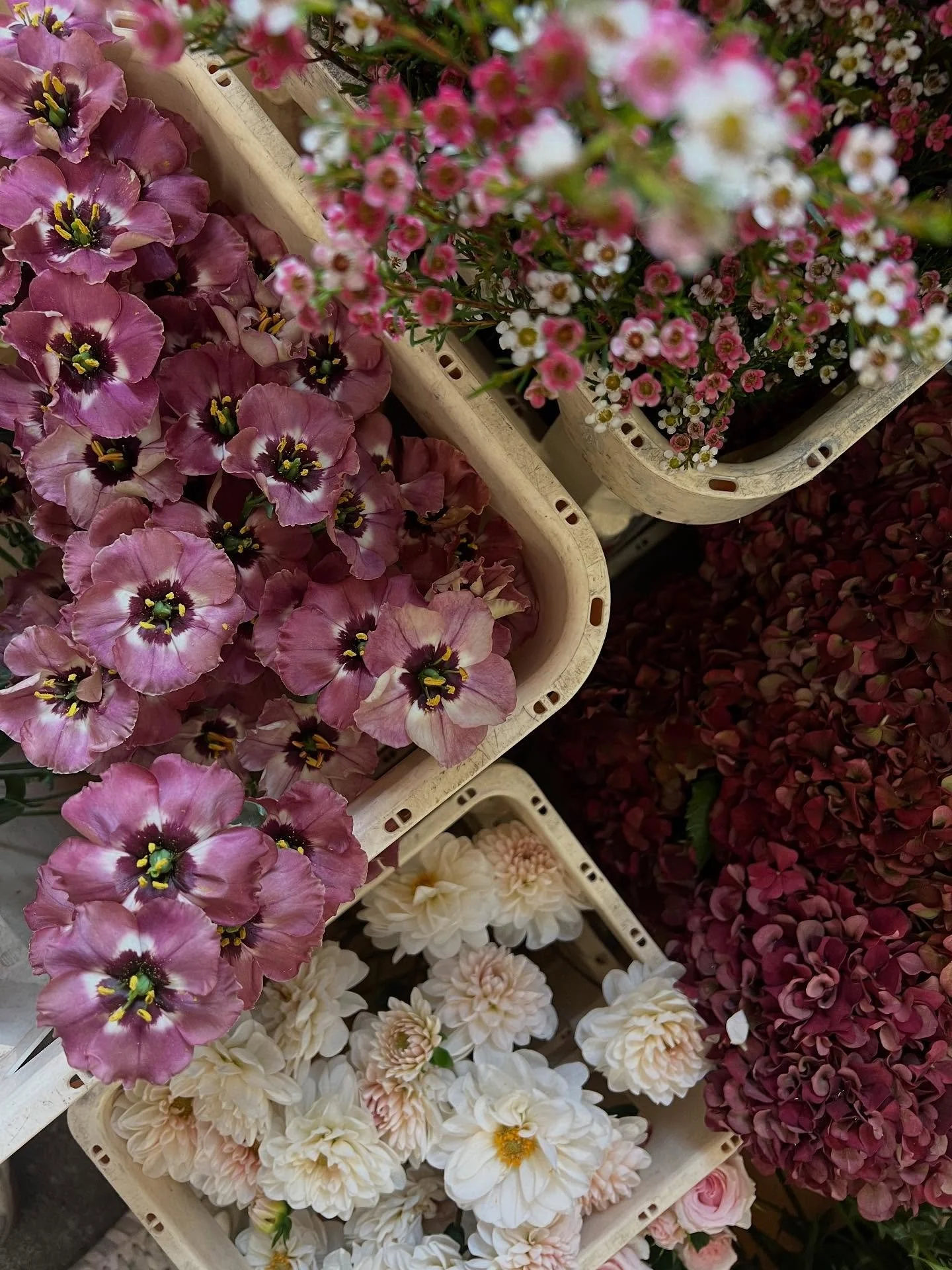 Studio diary of our last wedding of 2025! 🤍💫 and what a year it&rsquo;s been! Thank you for coming on this ride with us ✨

More to be shared soon! 😘

#wedding #weddinglfowers #winterwedding #novemberwedding #florist #floristry