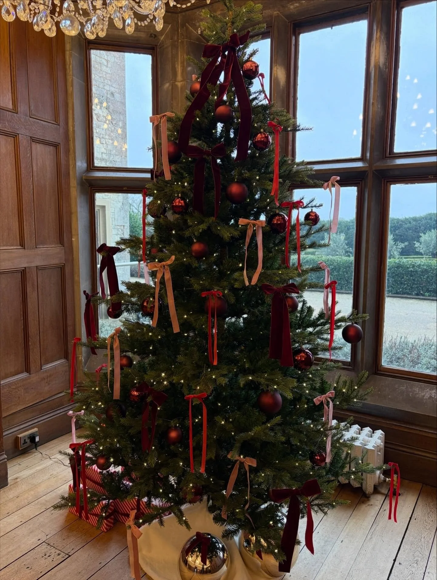Merry 1st December ✨🎄

Last years Christmas wedding was one of our favourites and had that Honey Bunch touch with pinks and ribbons💓🎀 

Here&rsquo;s to a month full of Christmas cheer, wreaths and JOY! 💫 

#wedding #winterwedding #christmasweddin