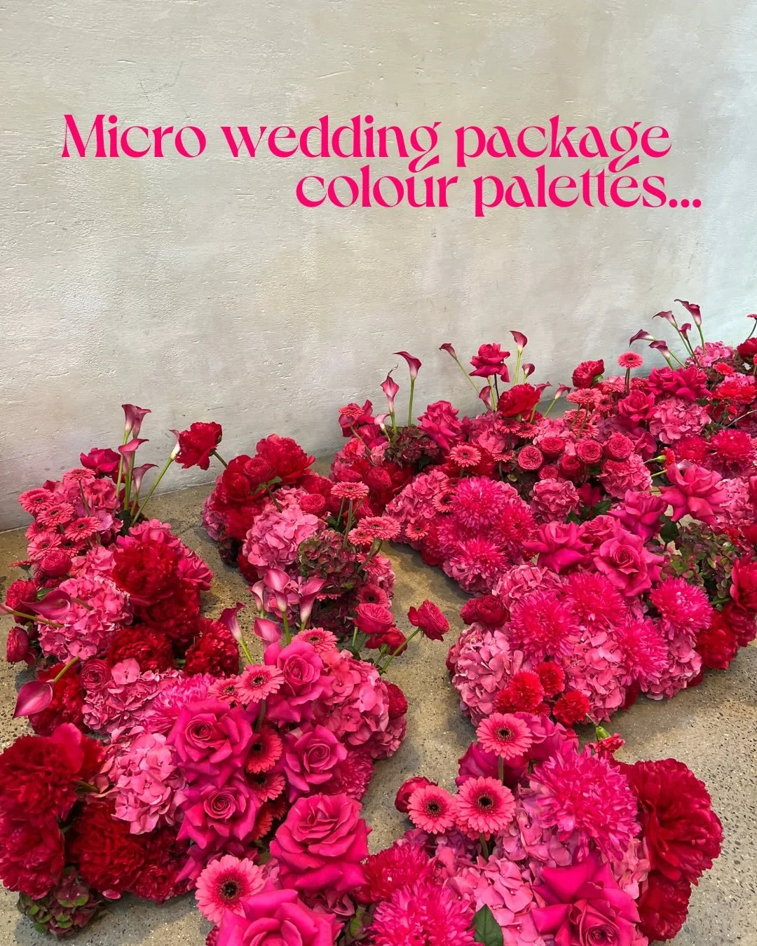 Our micro wedding package might be small in size but it is big on impact. 🤍✨ 

Designed for intimate celebrations, with three colour palettes to choose from: timeless whites, soft pastels, or bold brights. Thoughtfully curated florals that still fee