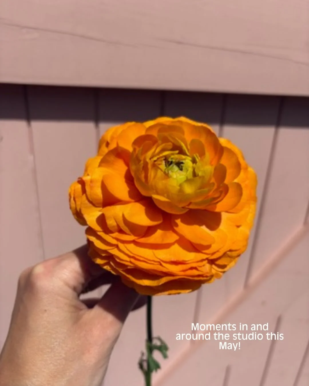 10 moments from the month! 🌞💕 May you&rsquo;ve been a blast, extremely hot but a blast!

#wedding #weddingflorist #mayphotodump #florist #londonflorist
