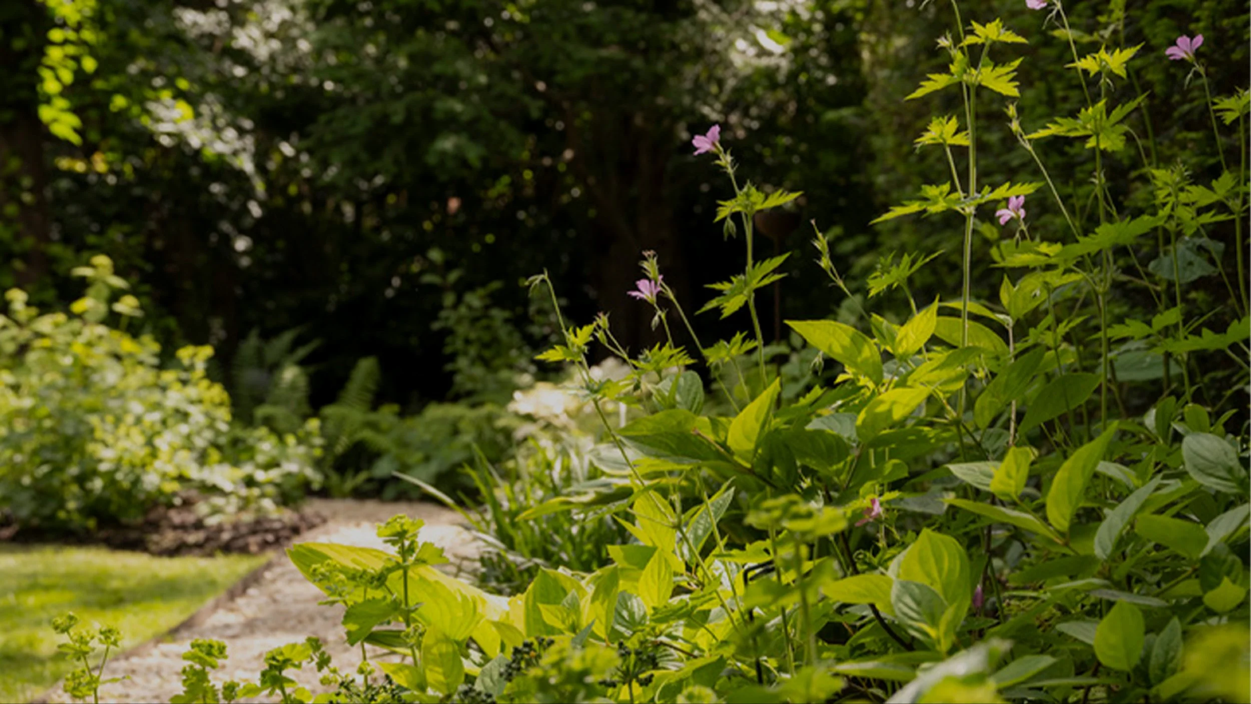  Garden Design 
 Available Worldwide 