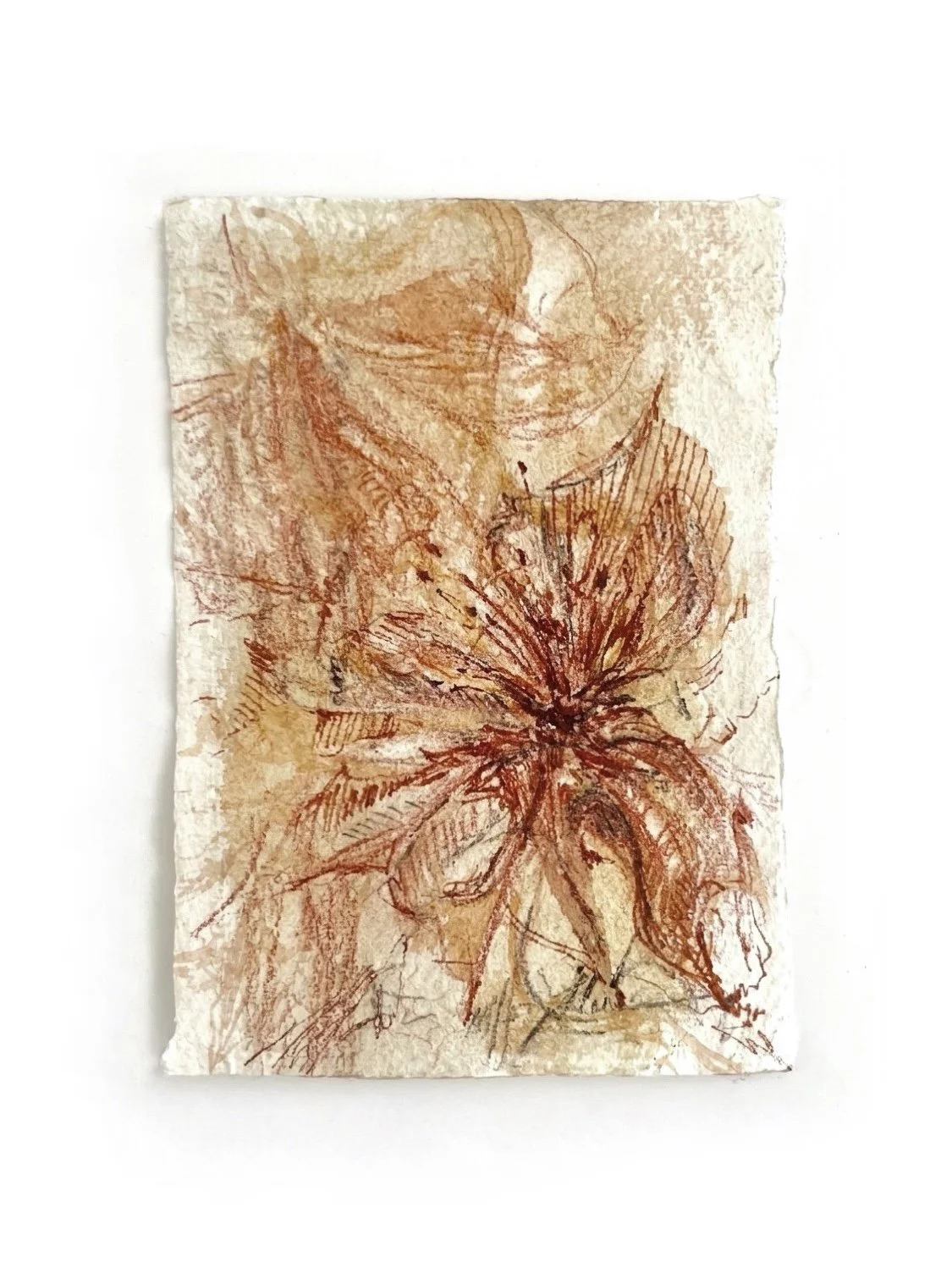 "Ecologii de Coastă" / Coastal Ecologies (2026)

Watercolor, pastel and pen on recylced cotton rag, 15 x 10 cm 