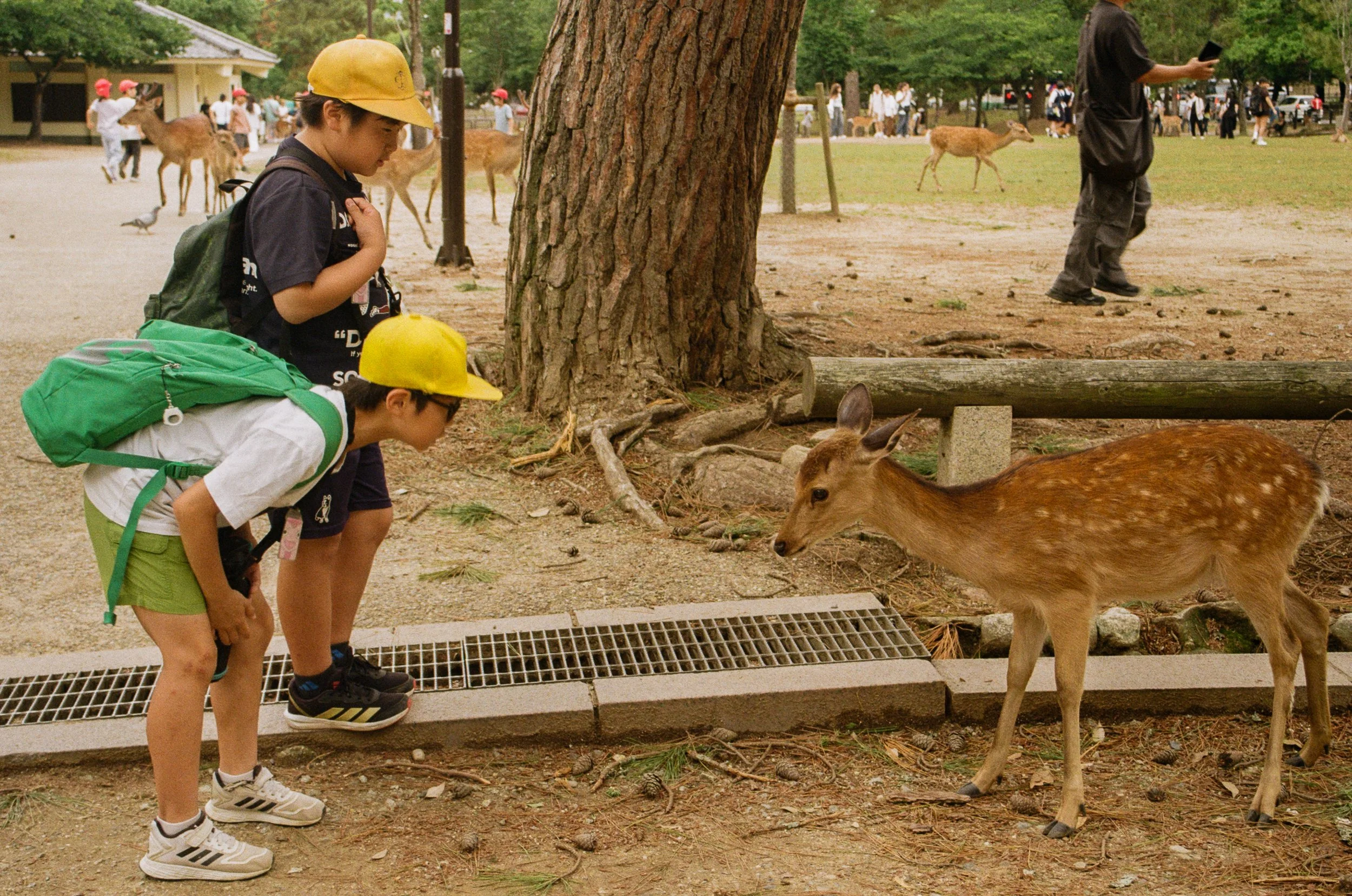 kodak_200_c_41_5681_136200_303630_000099970018.jpg