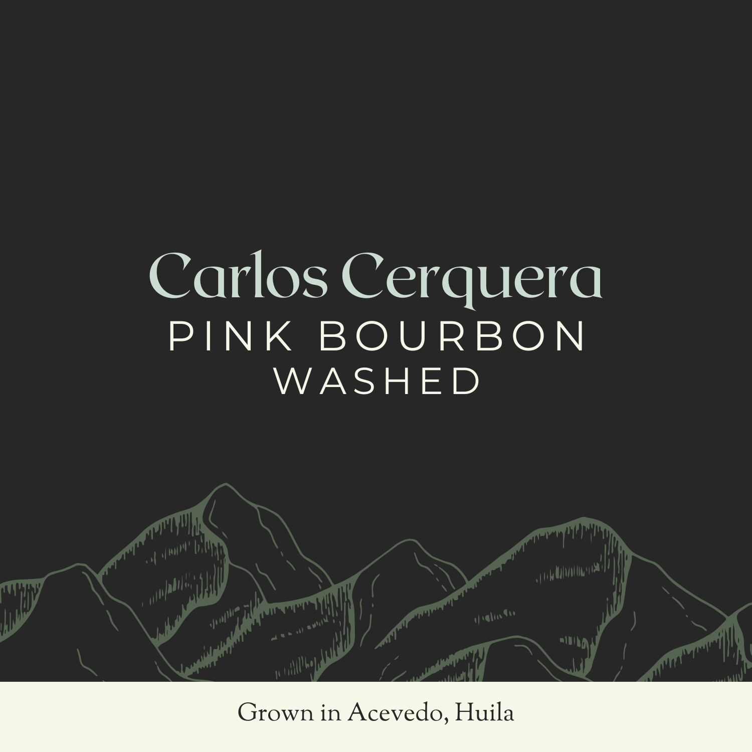 Carlos Cerquera | Pink Bourbon, Washed | 35KG Bag