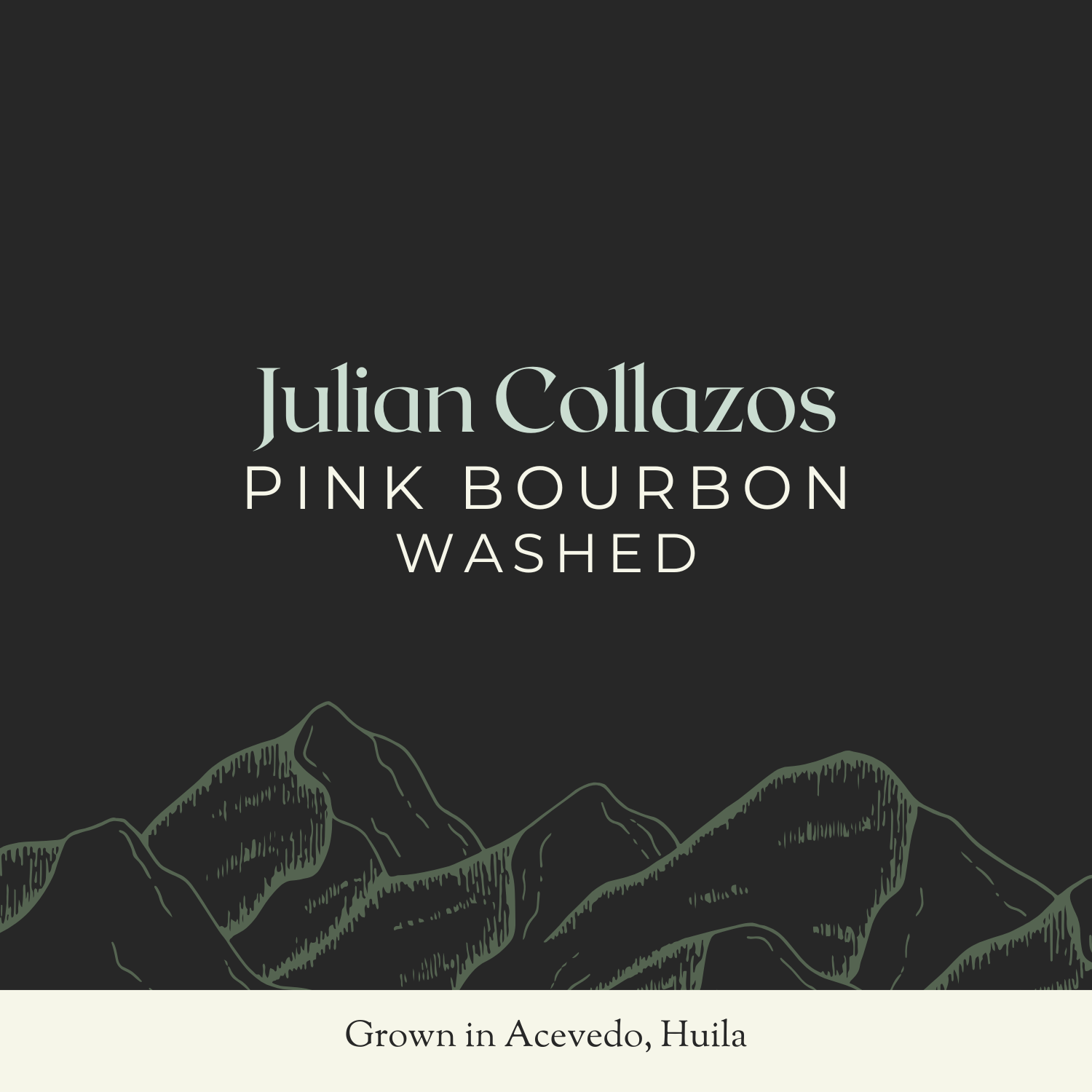 Julian Collazos | Pink Bourbon, Washed | 35KG Bag