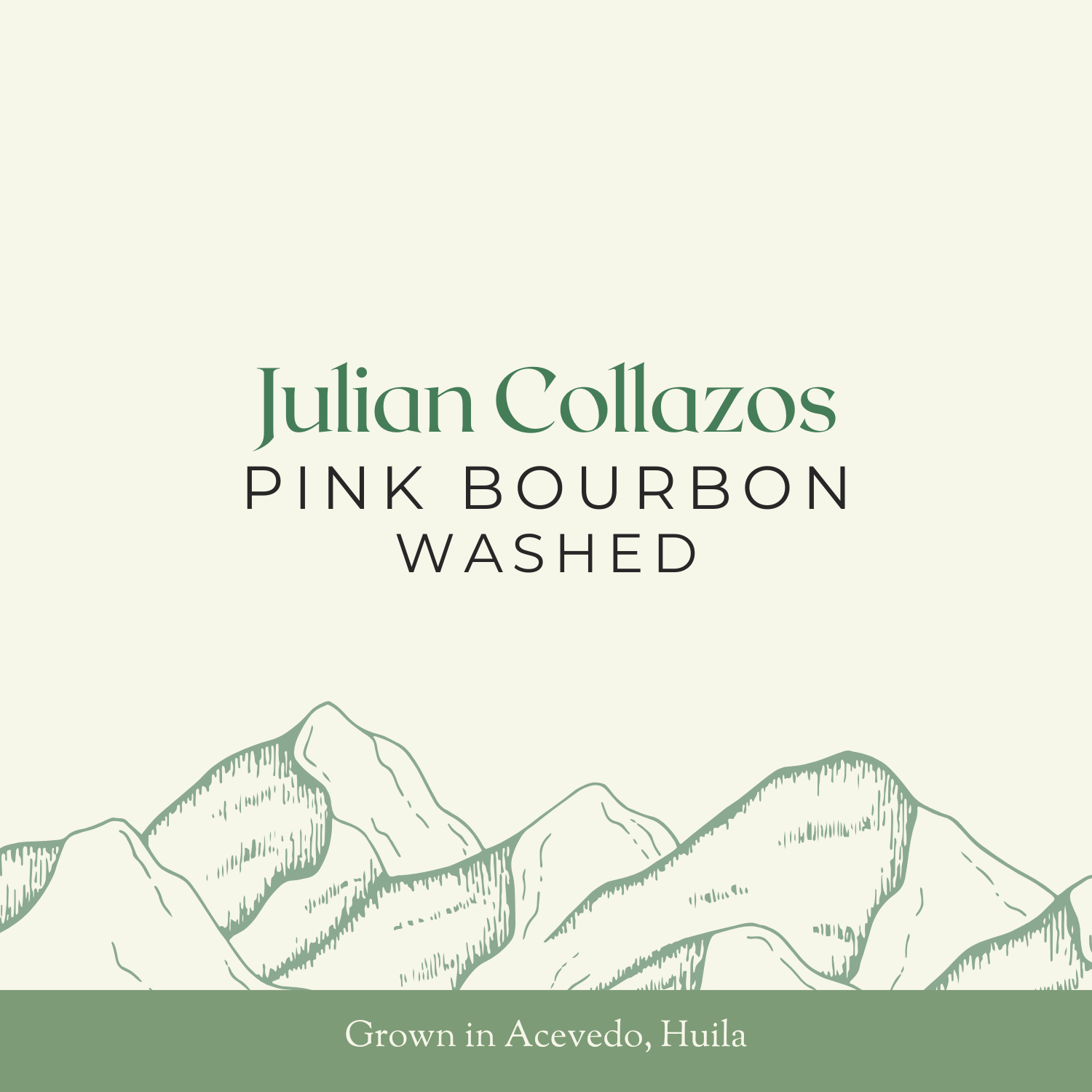 Julian Collazos | Pink Bourbon, Washed | 24KG Box