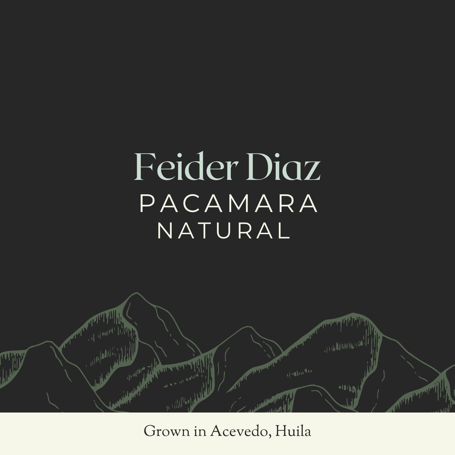 Feider Diaz | Pacamara, Natural | 35KG Bag