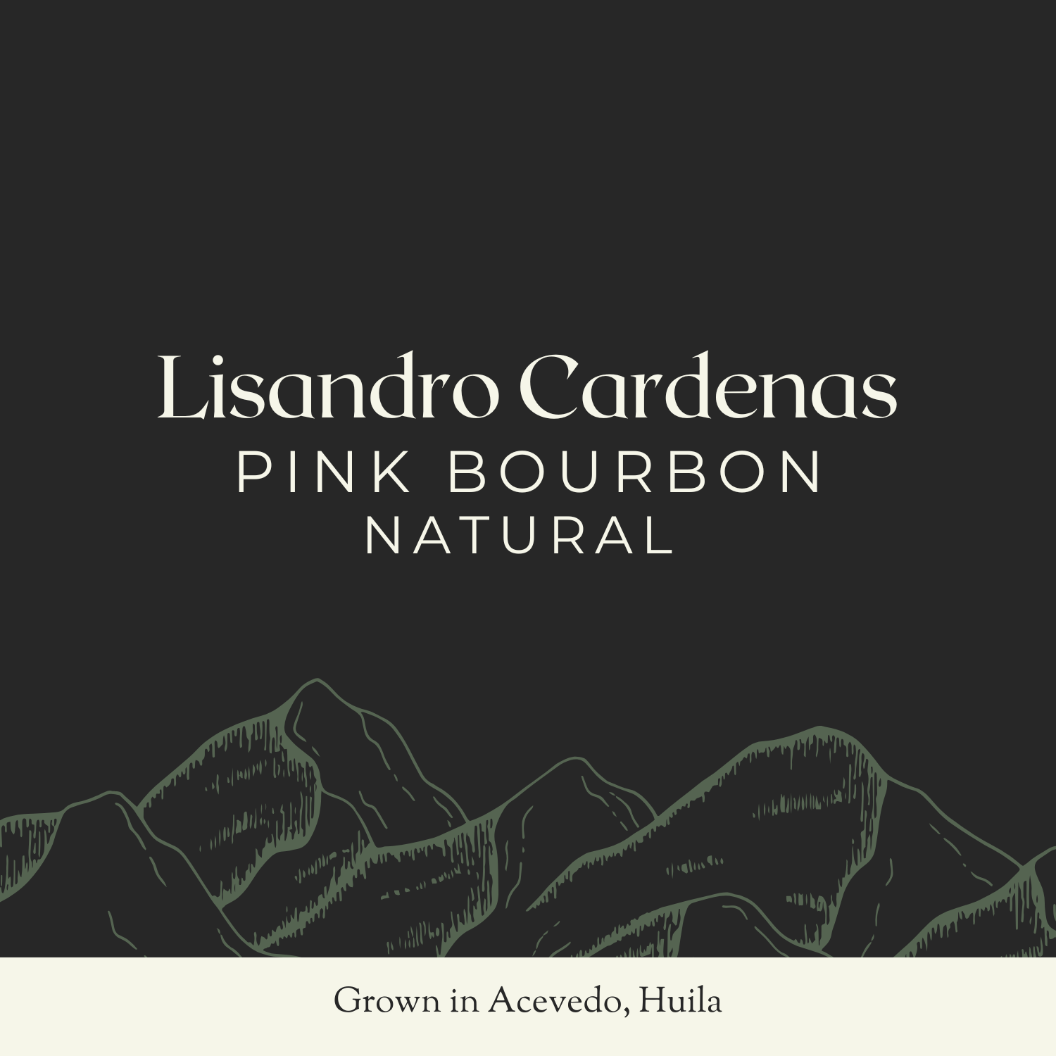 Lisandro Cardenas (1).png