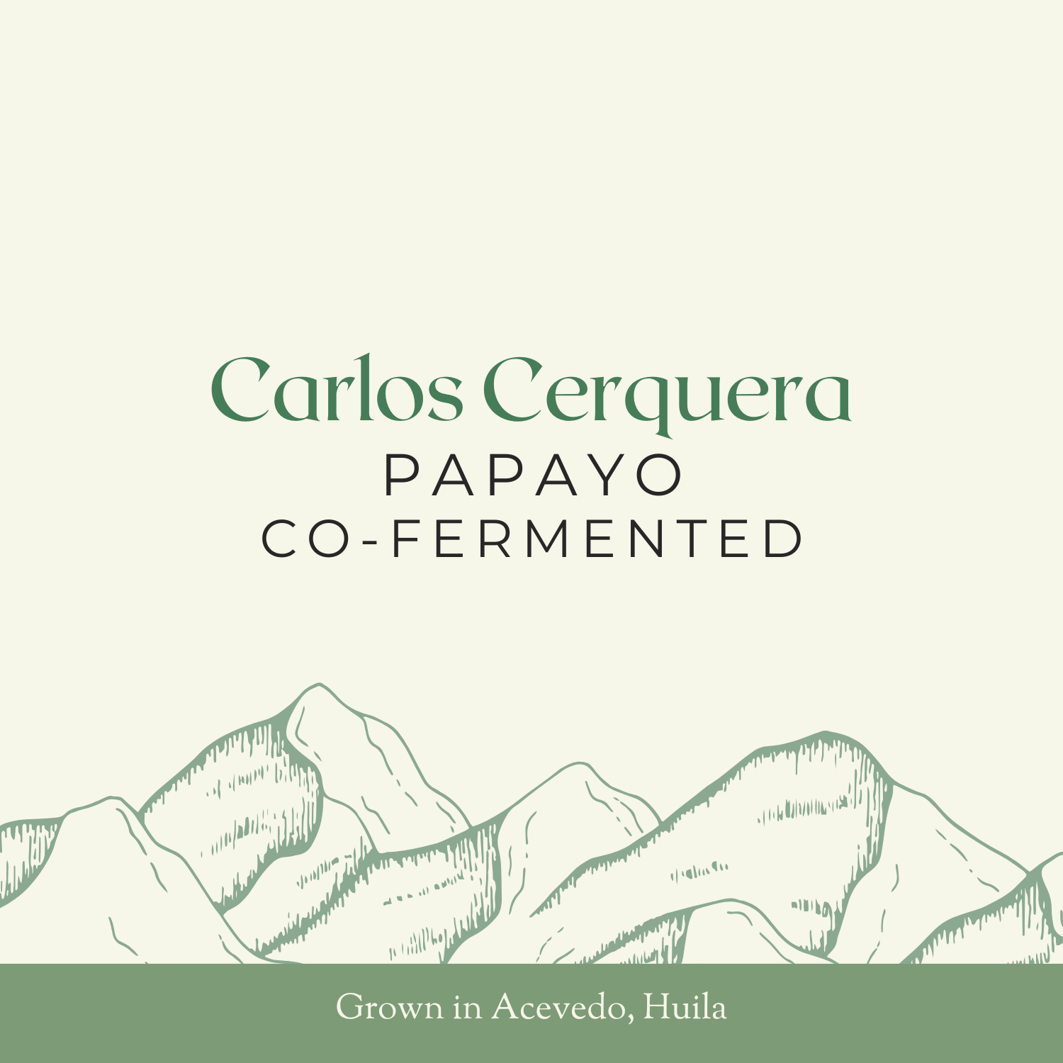 Carlos Cerquera | Papayo, Co-Fermented | 24KG Box