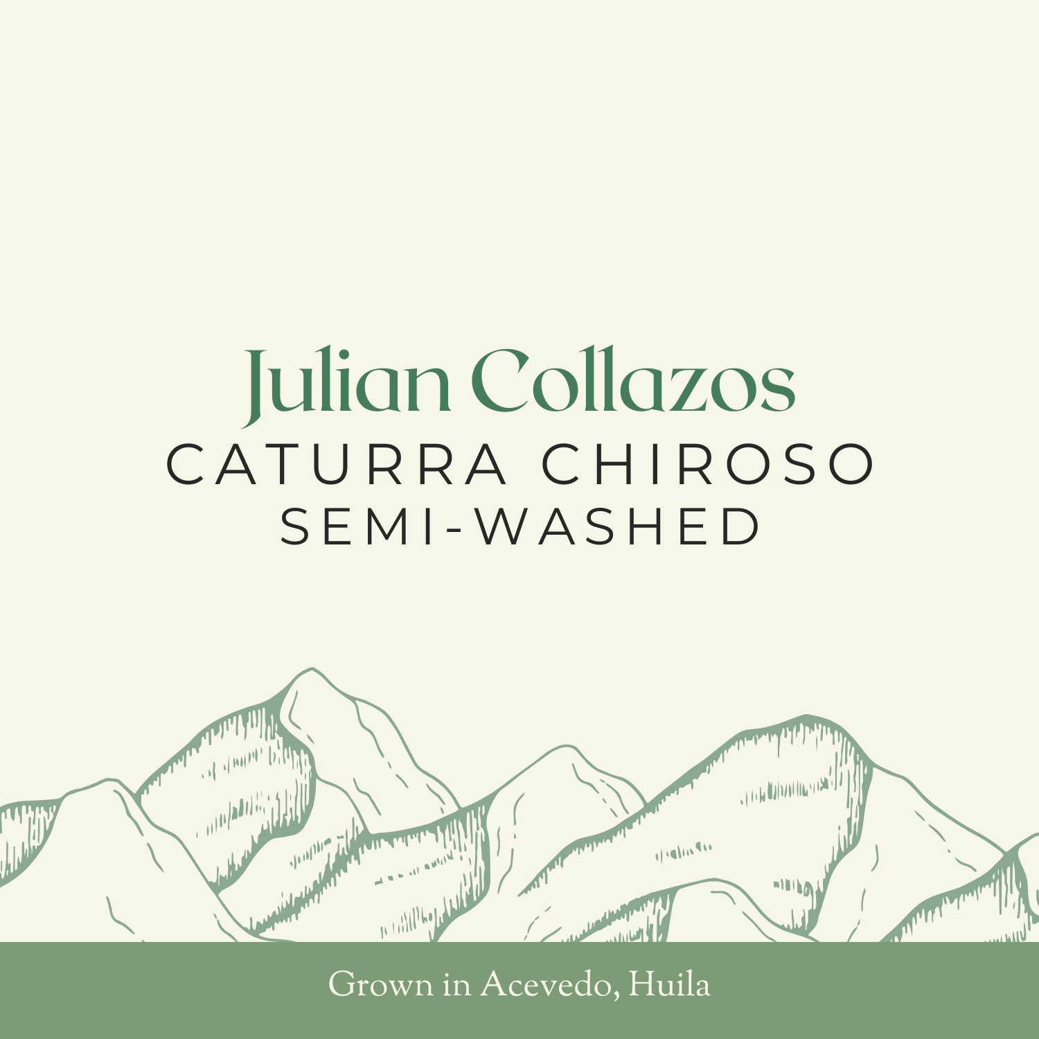 Julian Collazos | Caturra Chiroso, Semi-Washed | 24KG Box