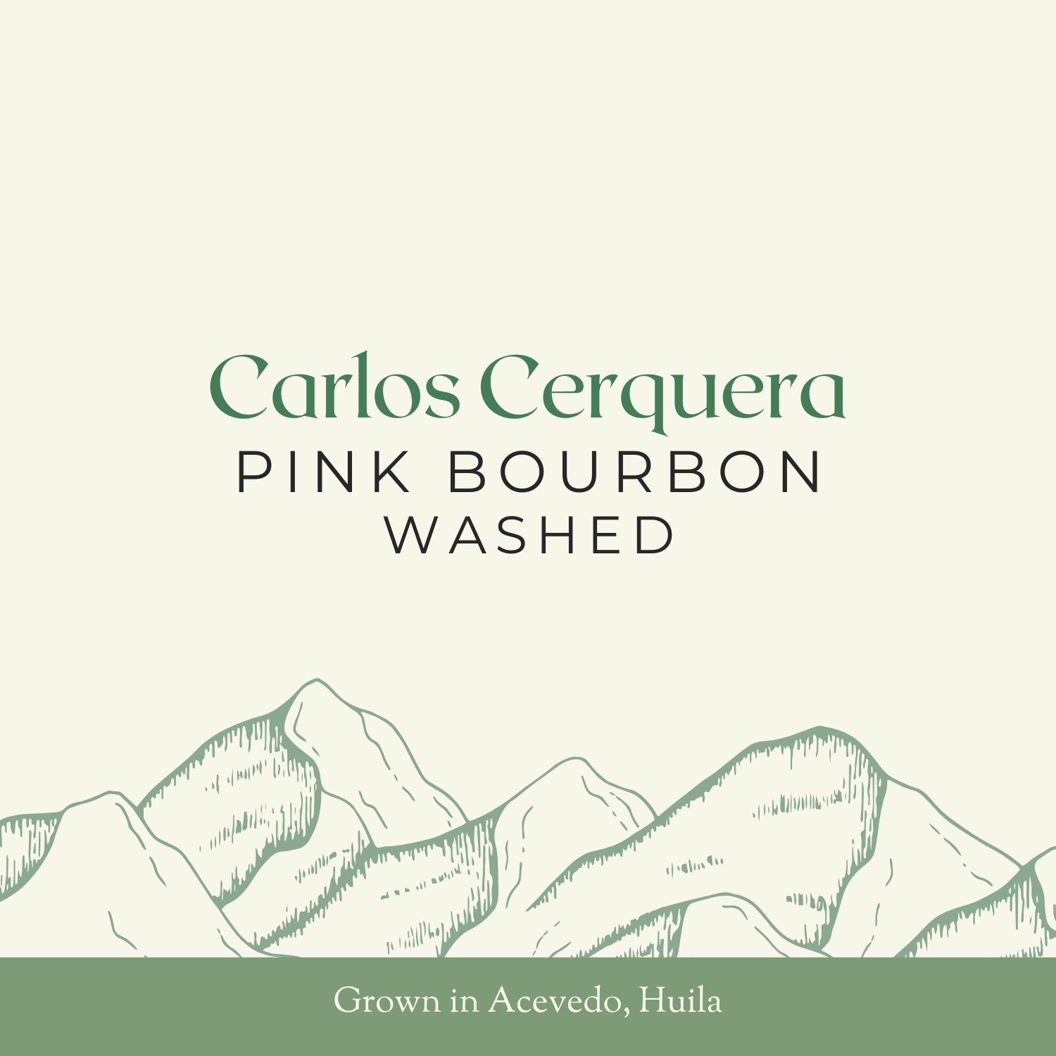 Carlos Cerquera | Pink Bourbon, Washed | 24KG Box