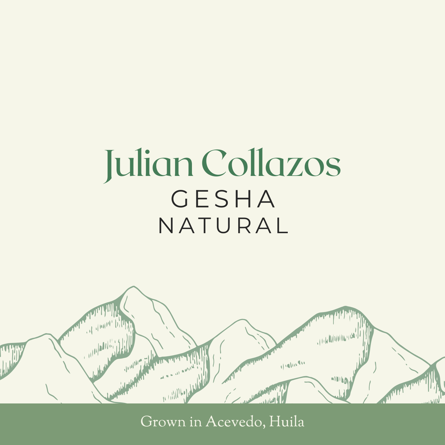 Julian Collazos | Gesha, Natural | 24KG Box