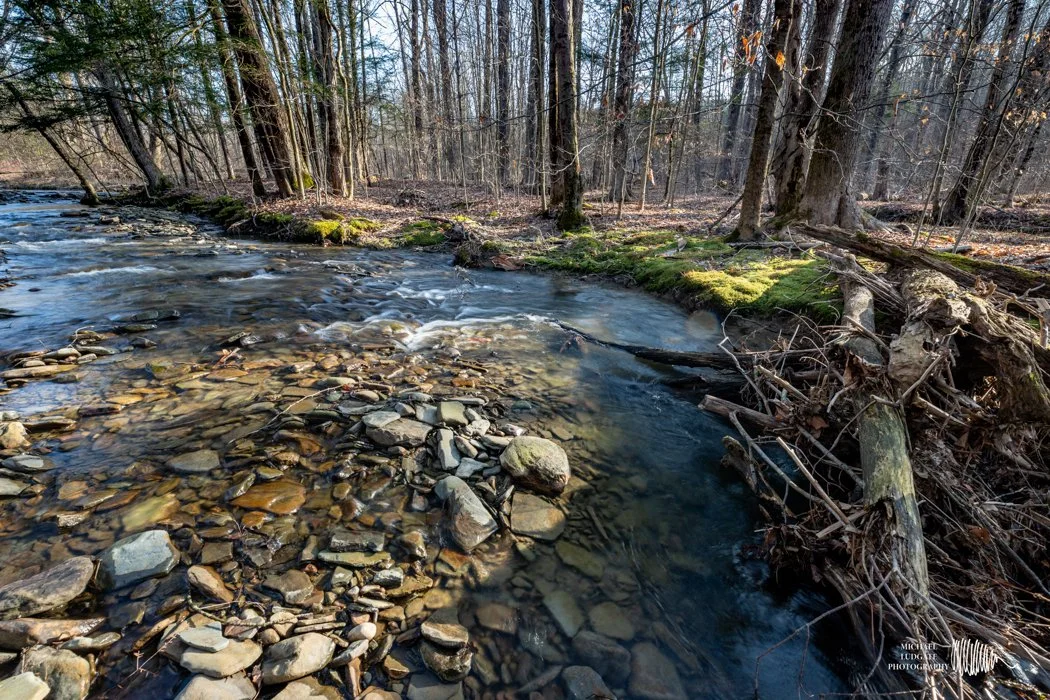 South Road Culvert Replacement and Stream Stabilization Project