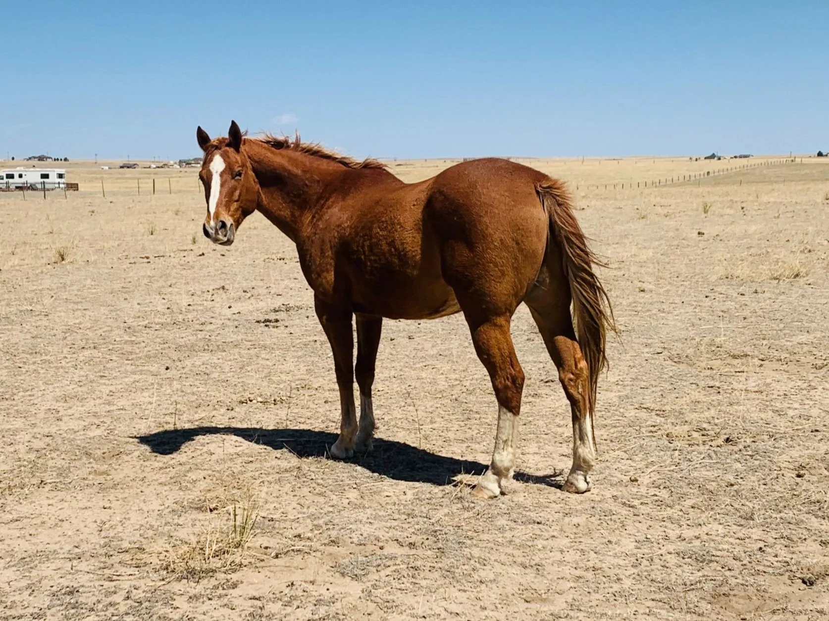 treasure 5 13 22 .jpg