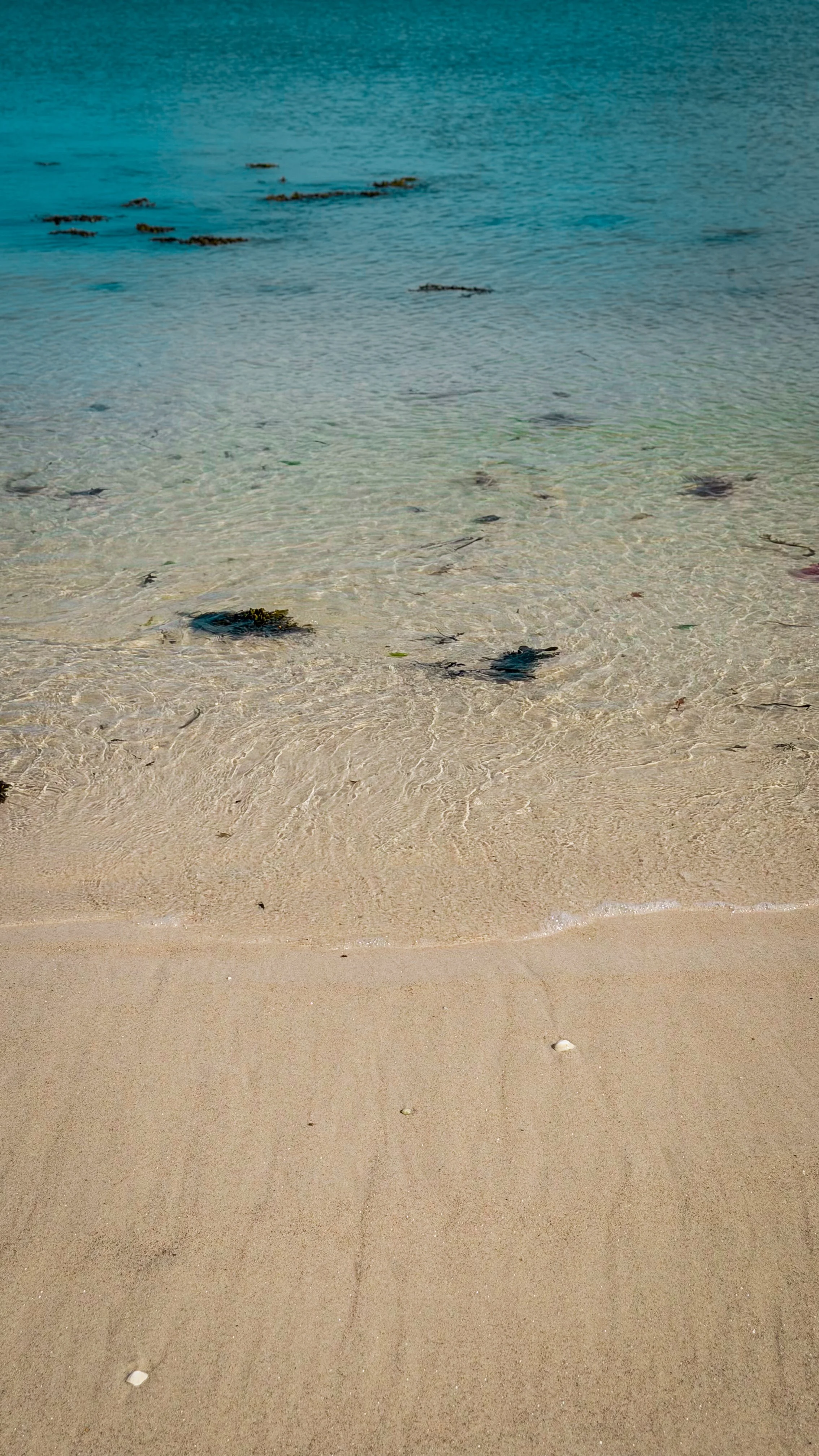 Photo 12-04-2026, 15 10 48 (1).jpg