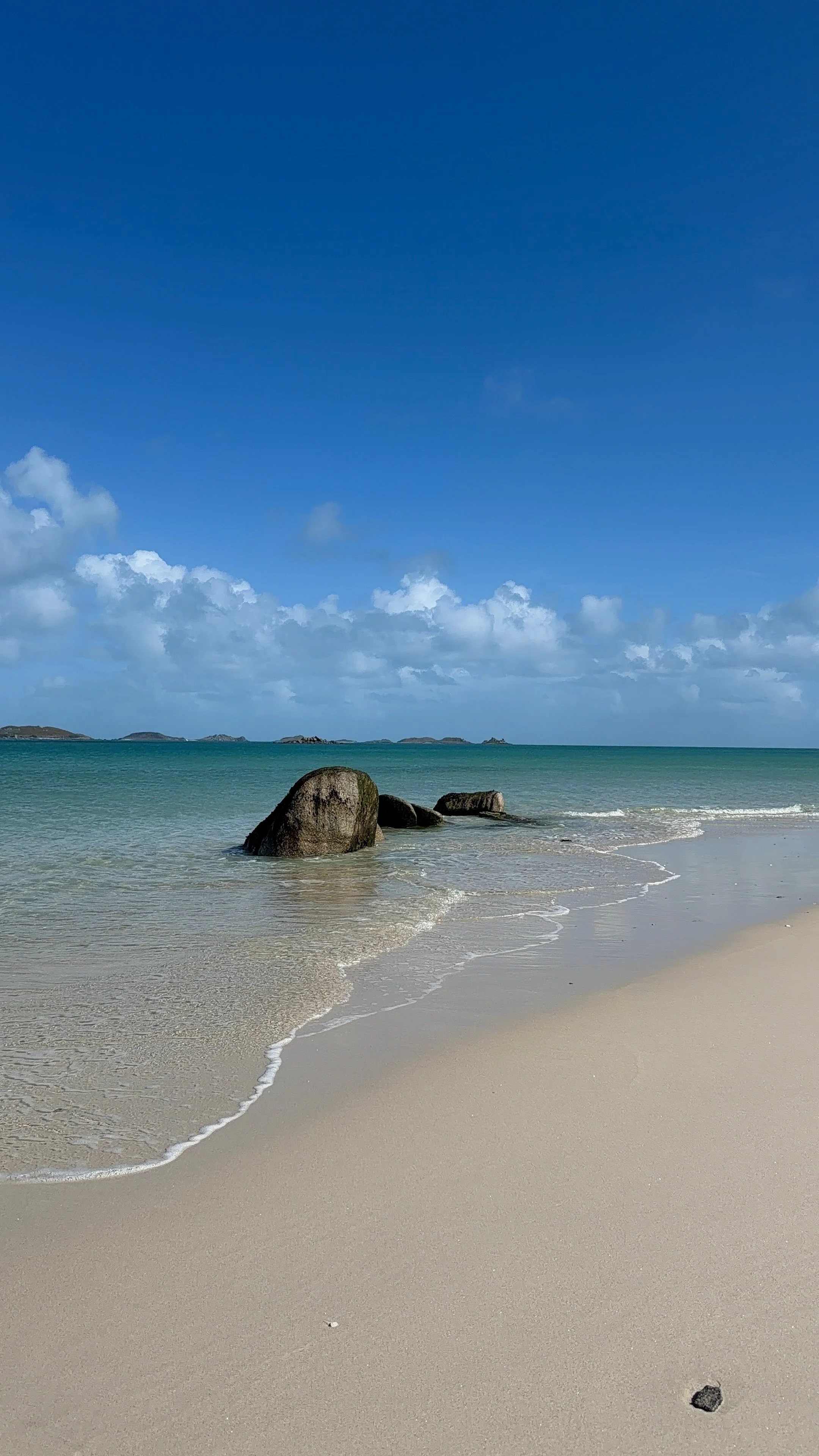 Photo 12-04-2026, 15 25 57 (1).jpg