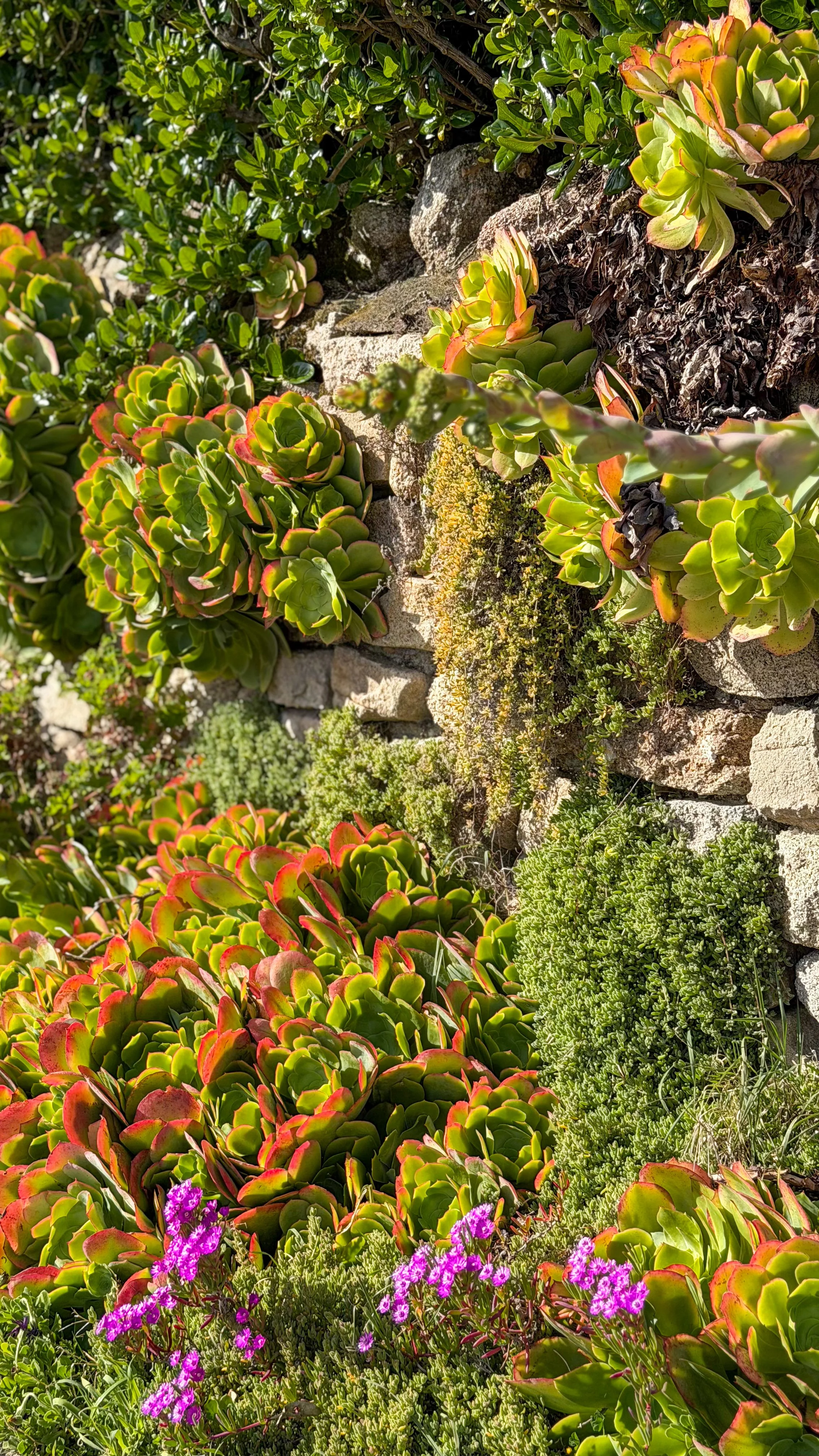 Photo 12-04-2026, 16 55 07.jpg