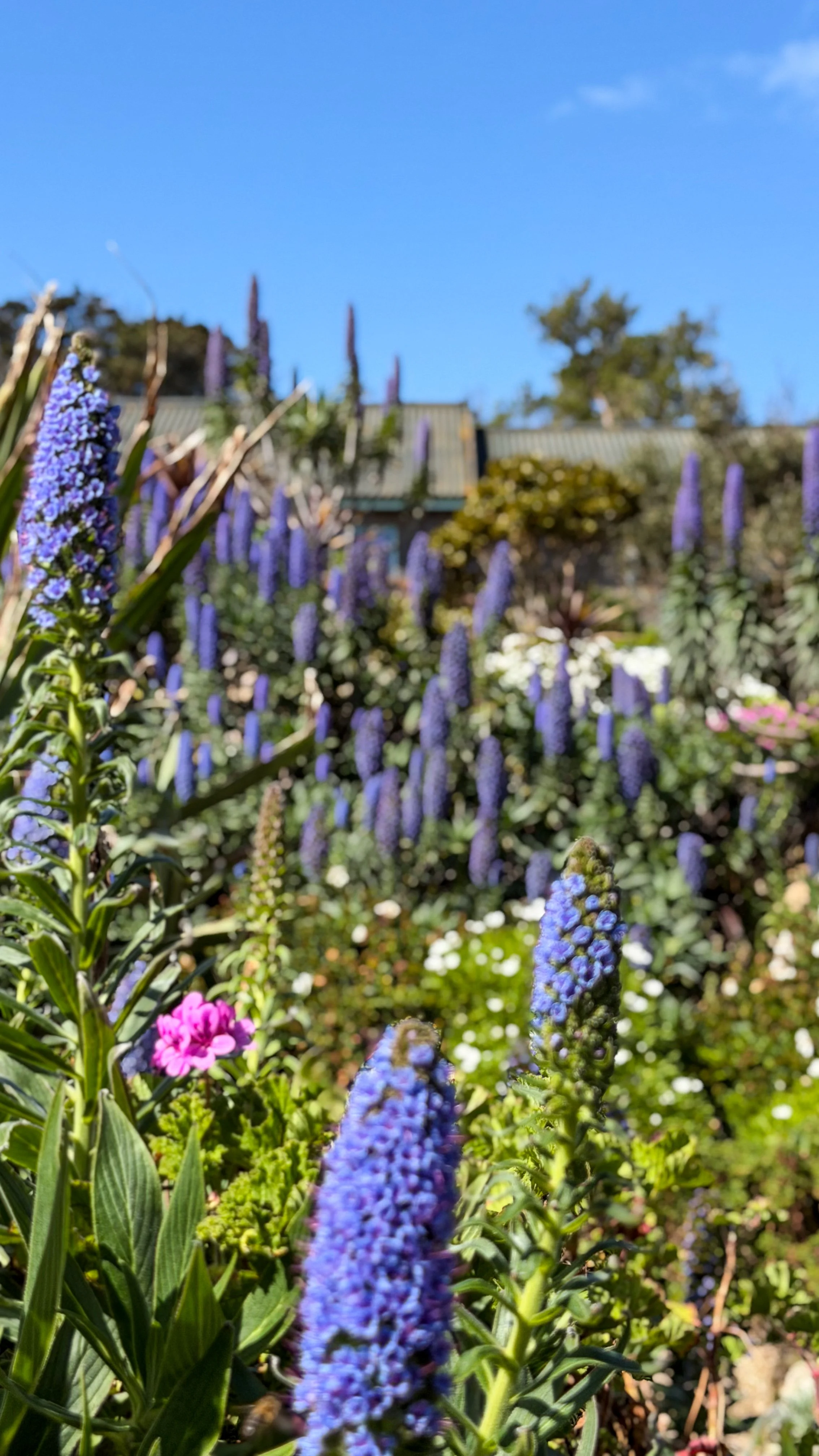 Photo 12-04-2026, 12 13 55.jpg