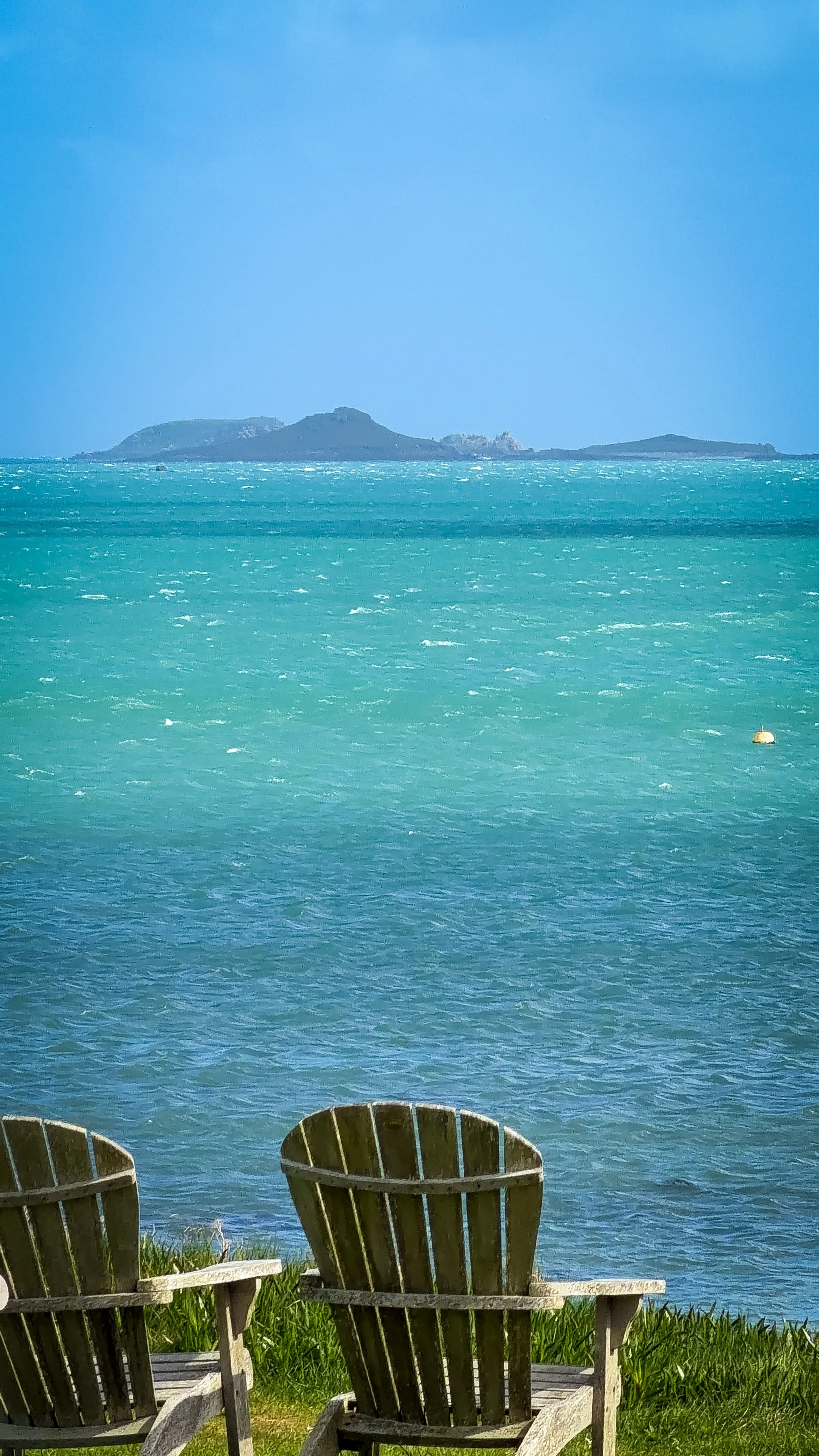 Photo 11-04-2026, 14 45 12.jpg