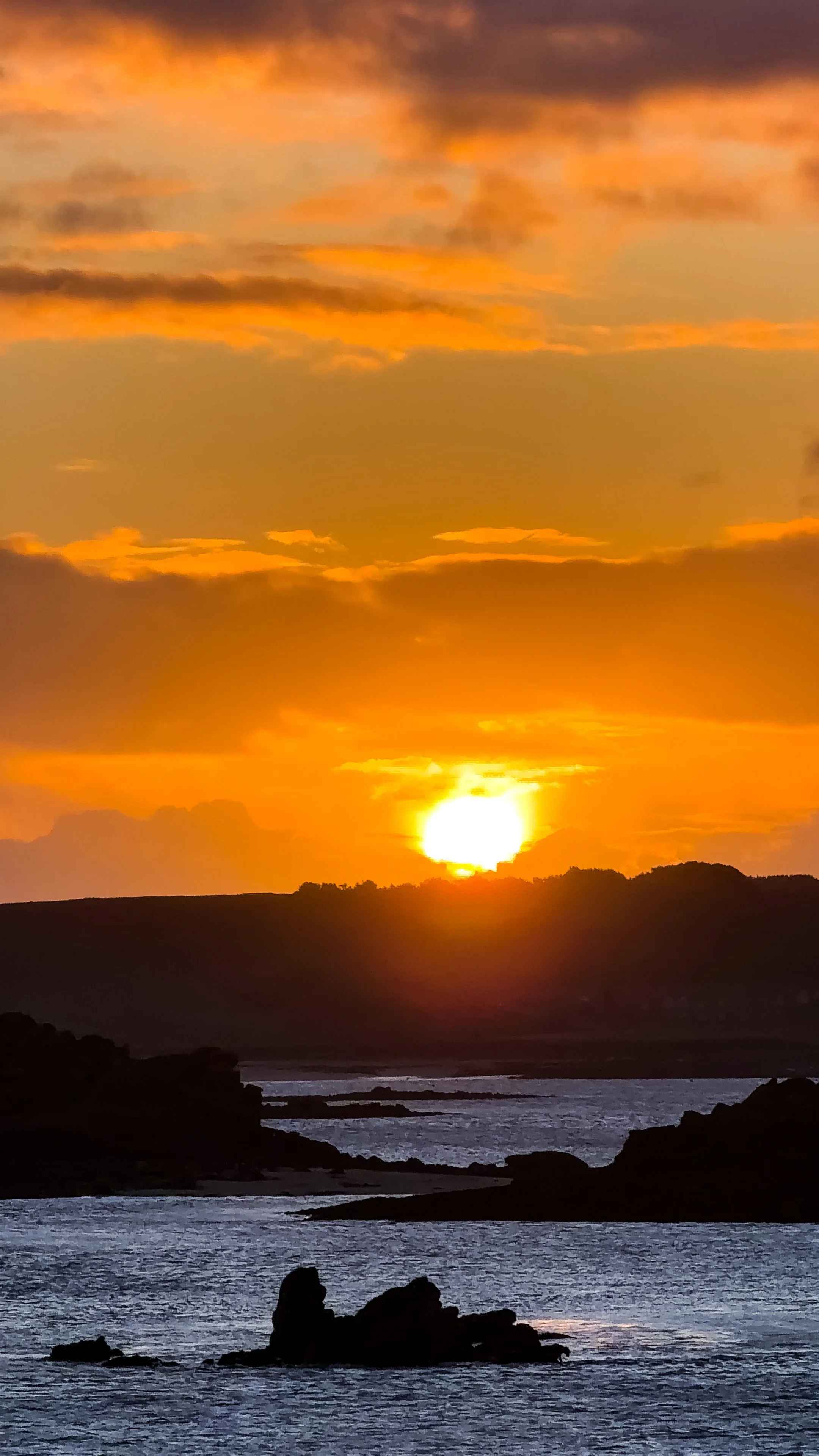 Photo 12-04-2026, 06 46 21.jpg