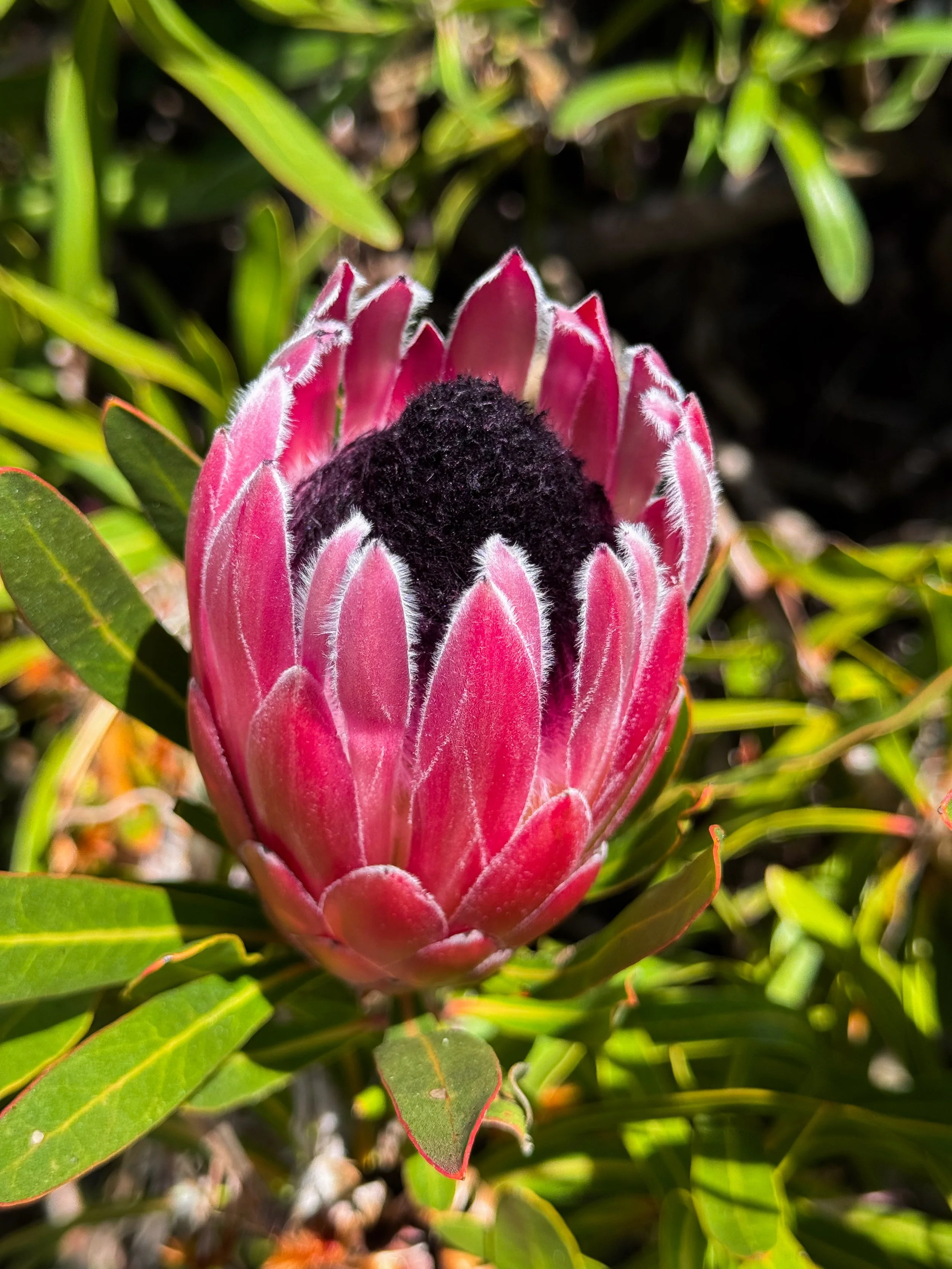 Photo 13-04-2026, 11 26 59.jpg