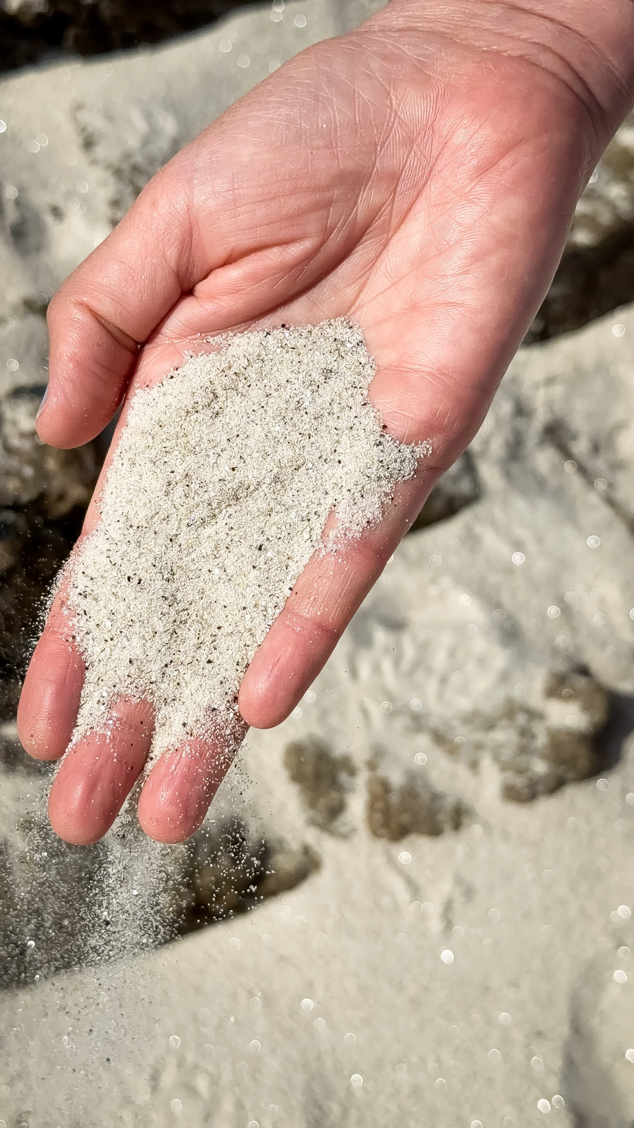 Photo 12-04-2026, 15 09 39.jpg