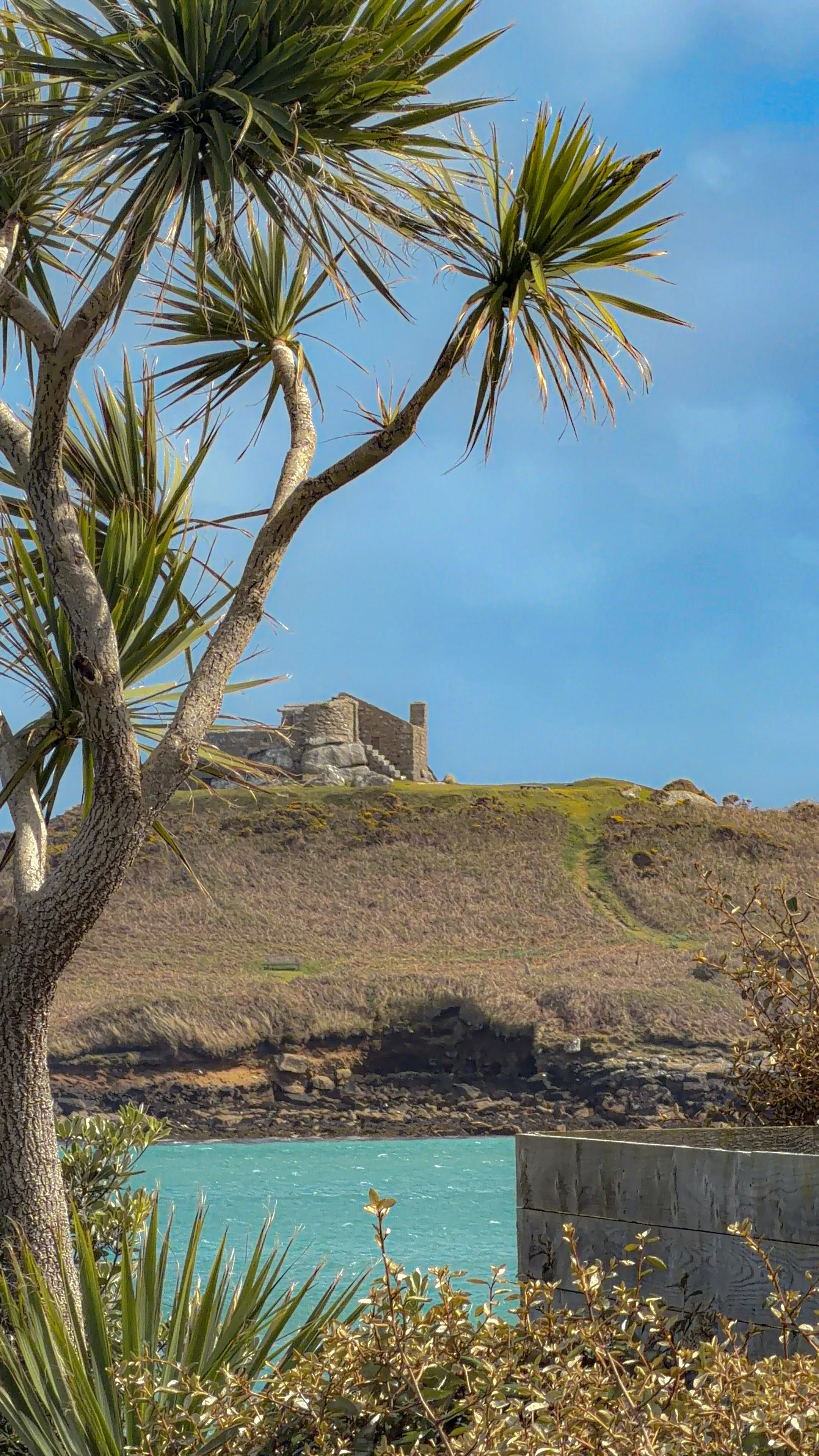 Photo 11-04-2026, 14 45 01.jpg