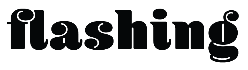 FLASHING THE MOVIE