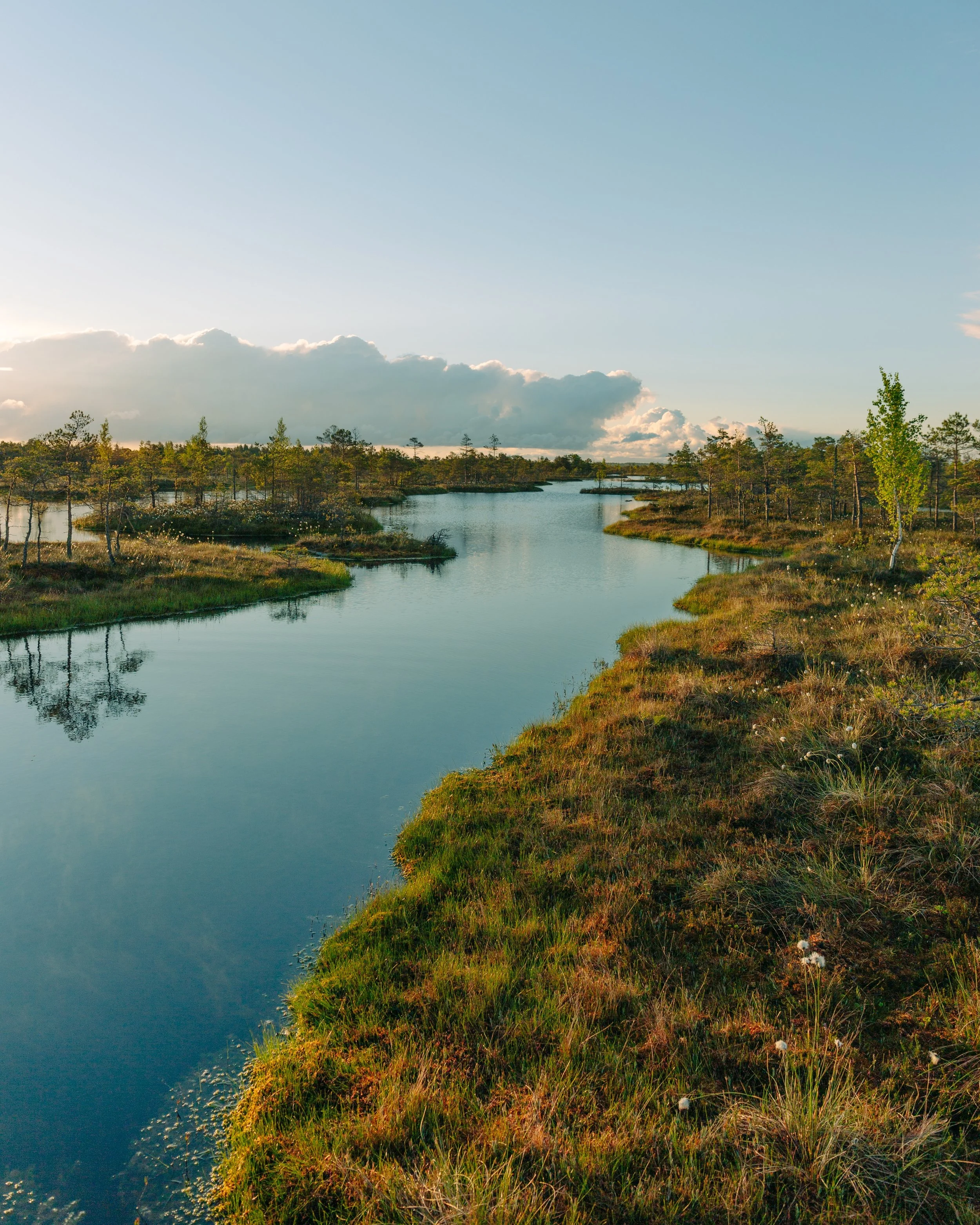 beautiful-view-river-green-nature-blue-sky-ar-sunrise.jpg