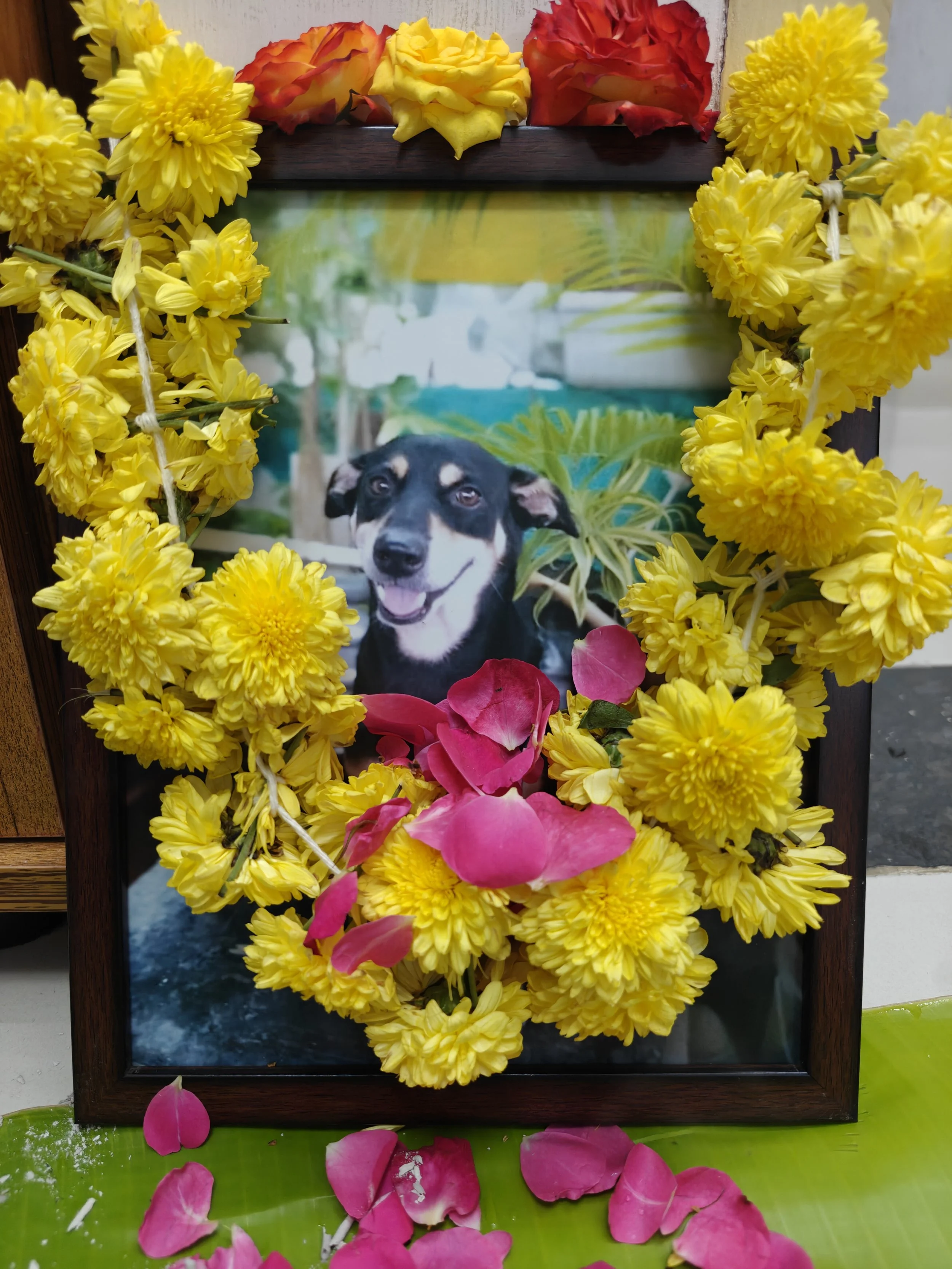 IMG20251114200937.jpg