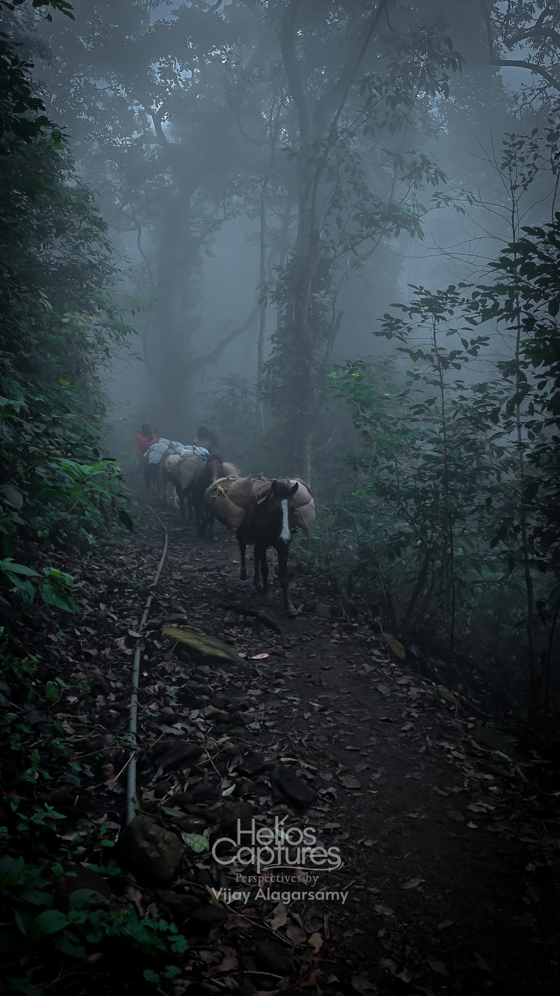 IMG20260101105736 (1).jpg