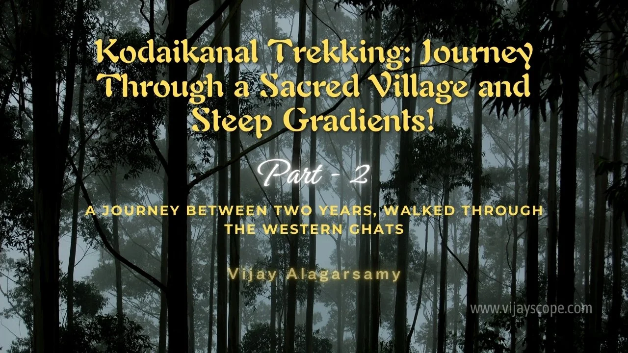 Beginning the Year on Foot