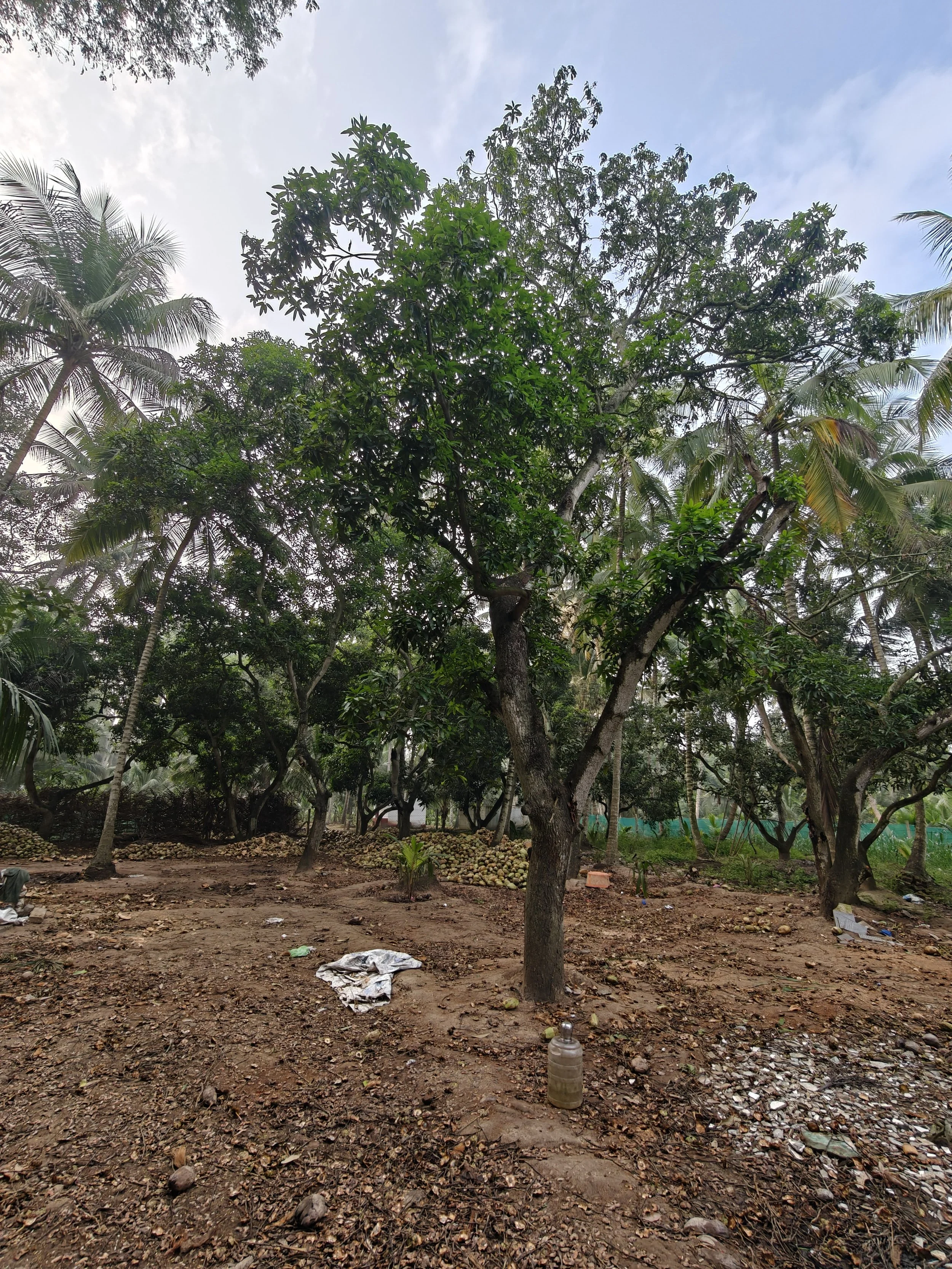 IMG20251231075254 1.jpg