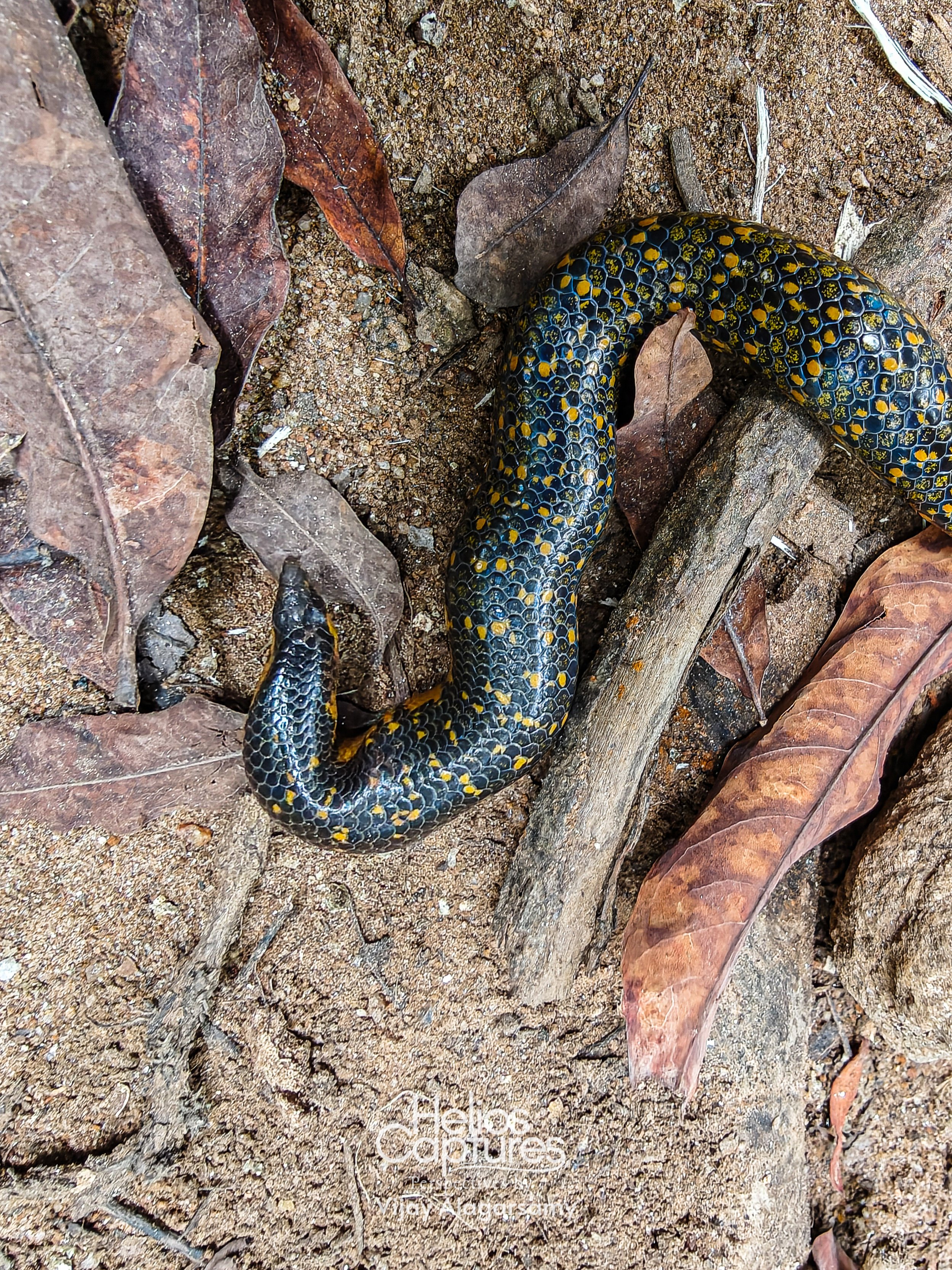 IMG20251231123218 (1).jpg