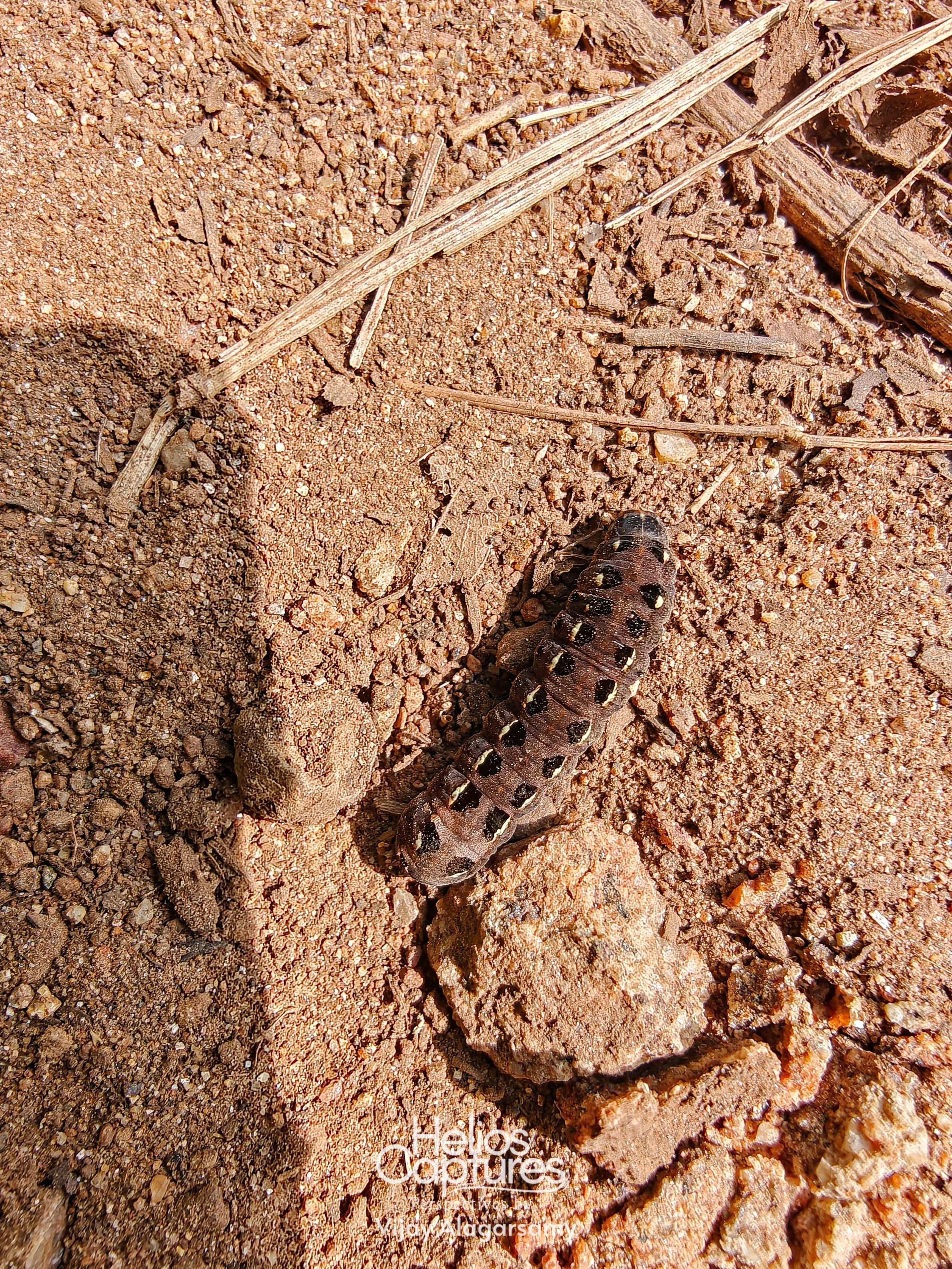 IMG20251231103633 (1).jpg