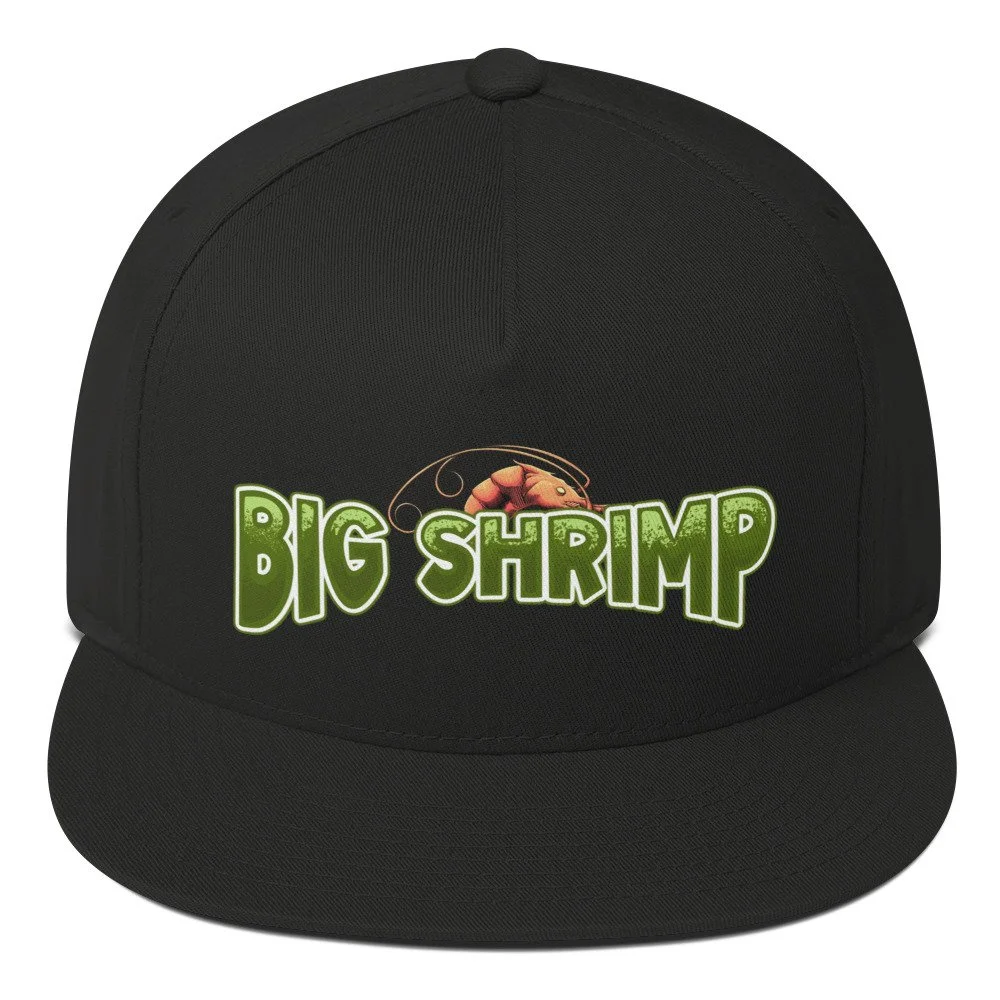 flat-bill-cap-black-front-69d4937798329.jpg