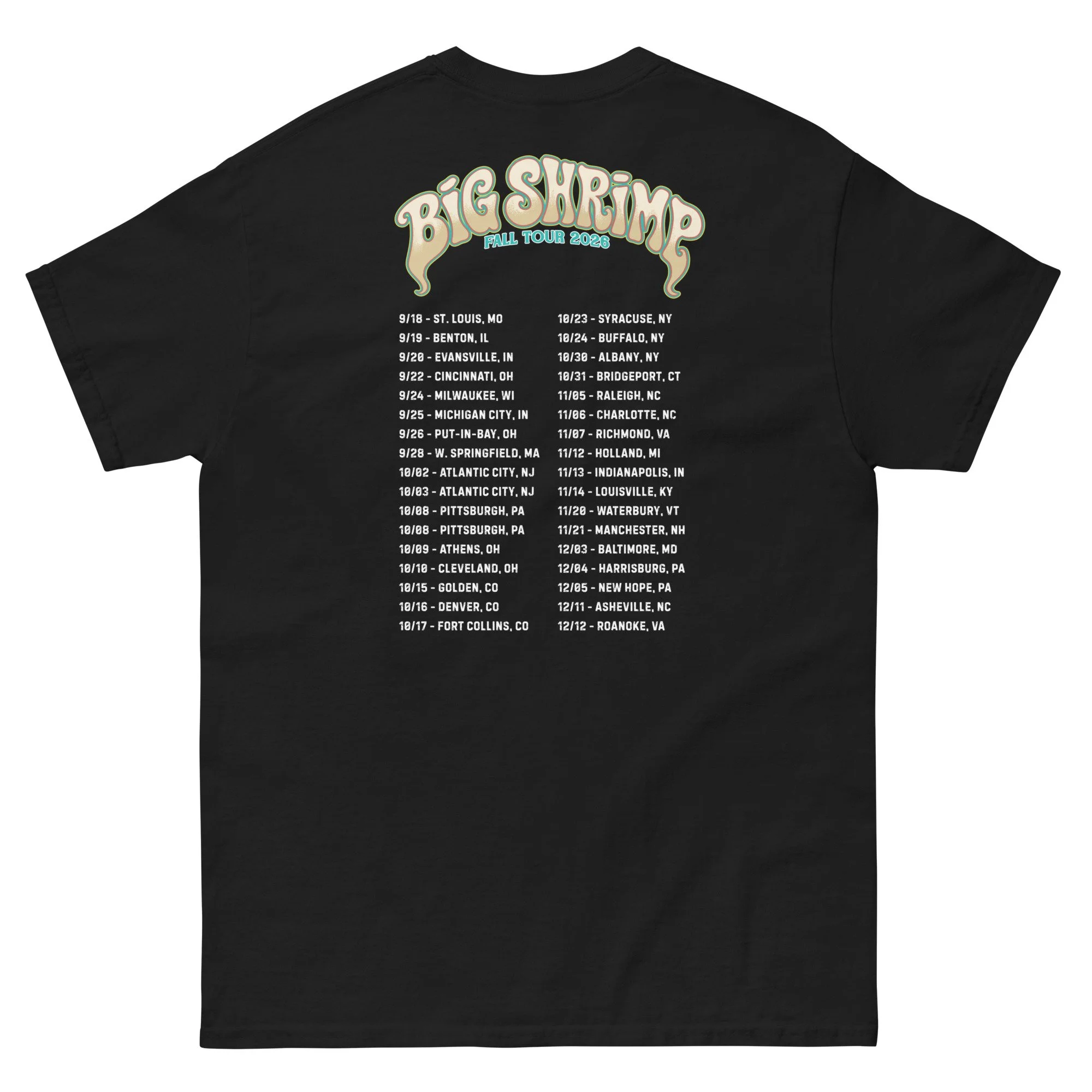 unisex-classic-tee-black-back-6a9f342741b99.jpg