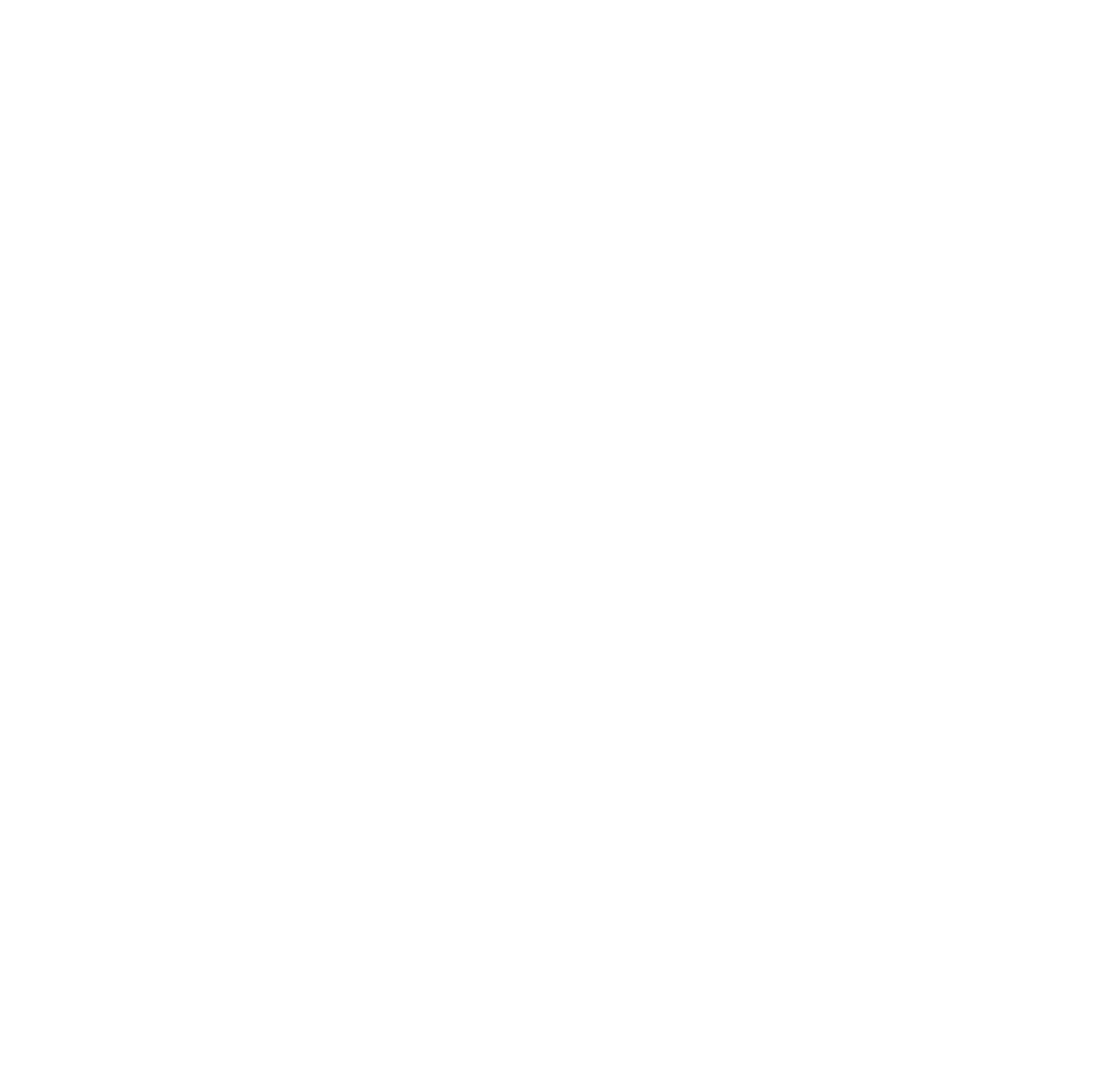 02_0x0-Tesla_T_White.png