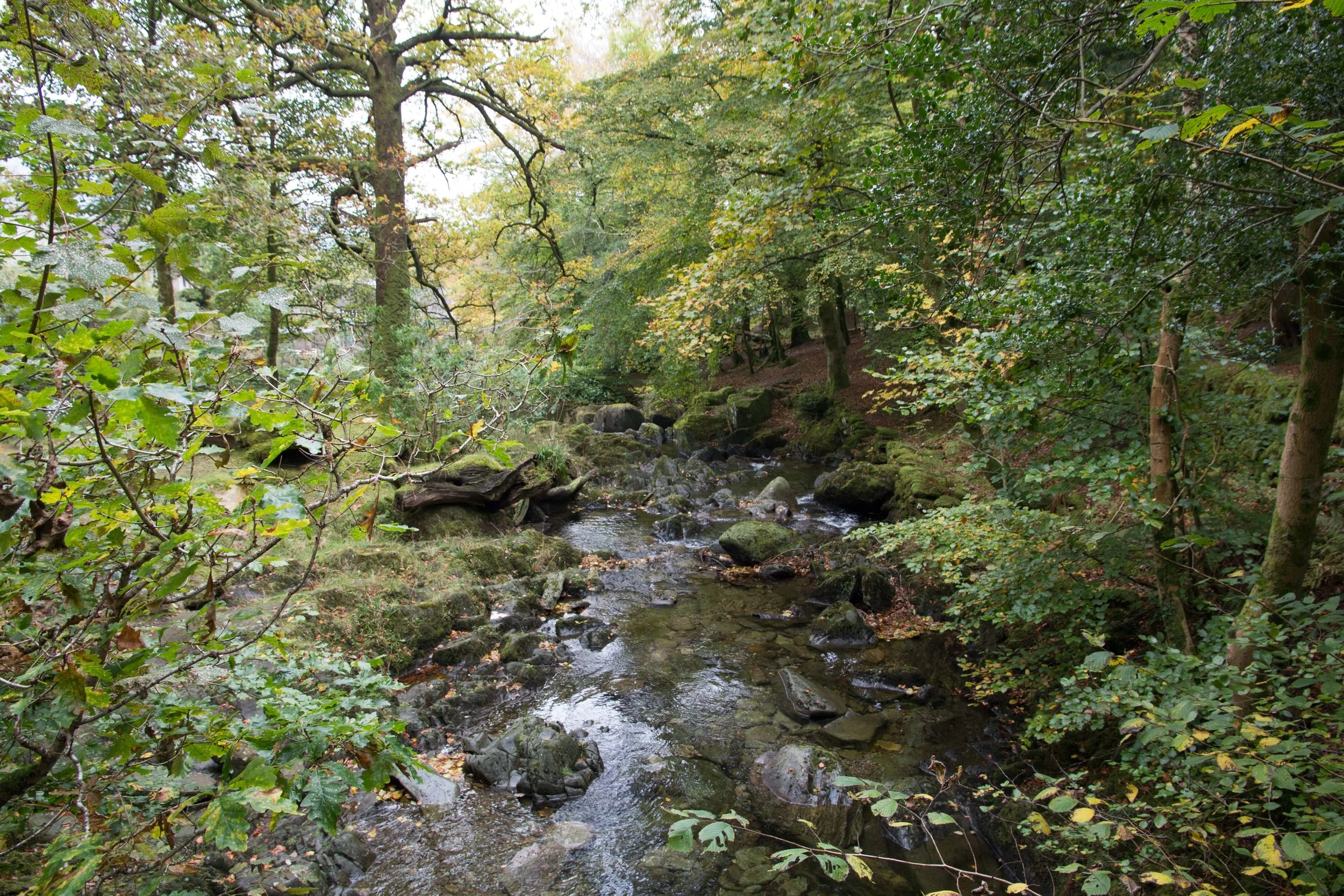 Beyond Cold Water Therapy - Rydal Hall - River-min.jpg