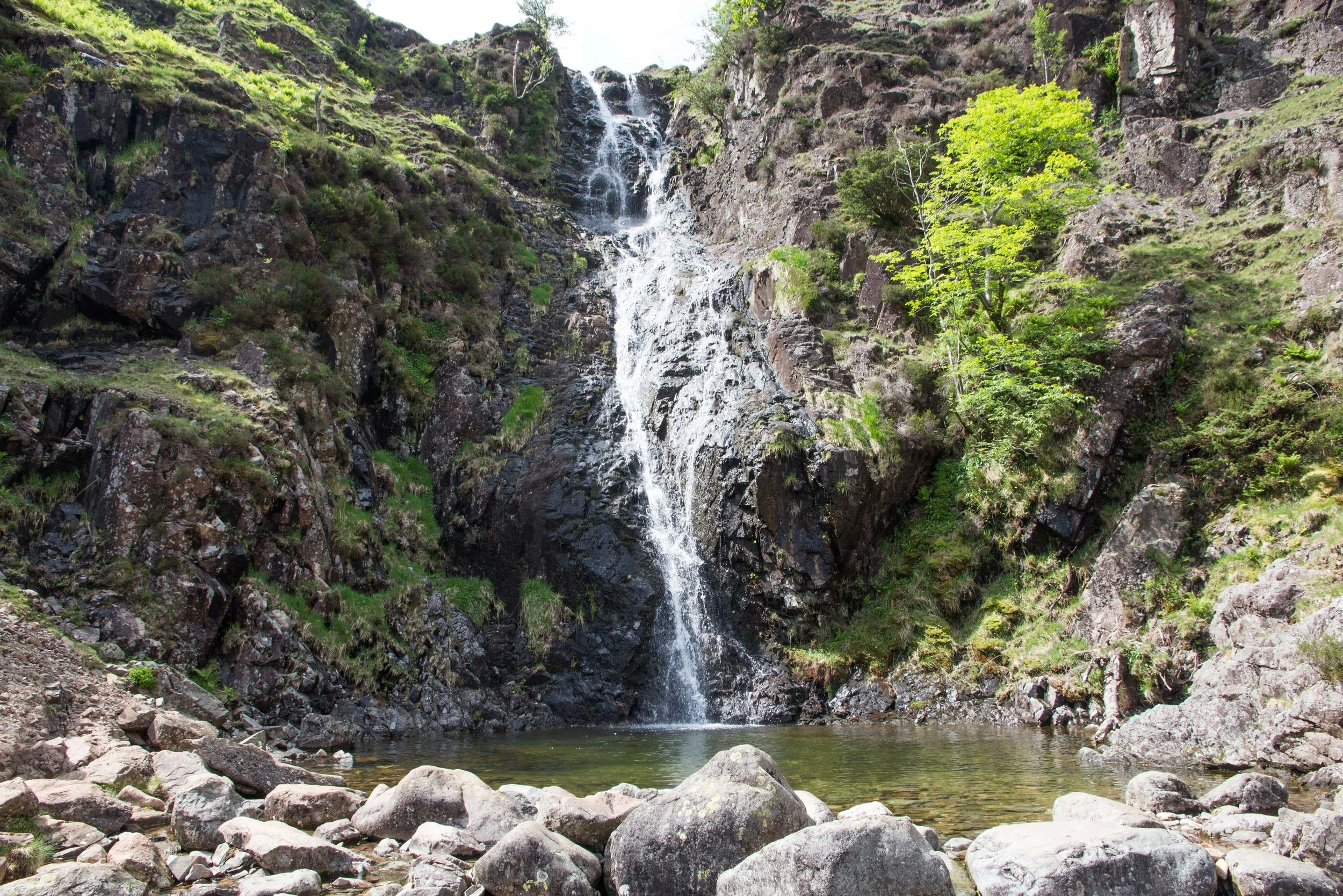 Beyond Cold Water Therapy - Whorneyside Force-min (1).jpg