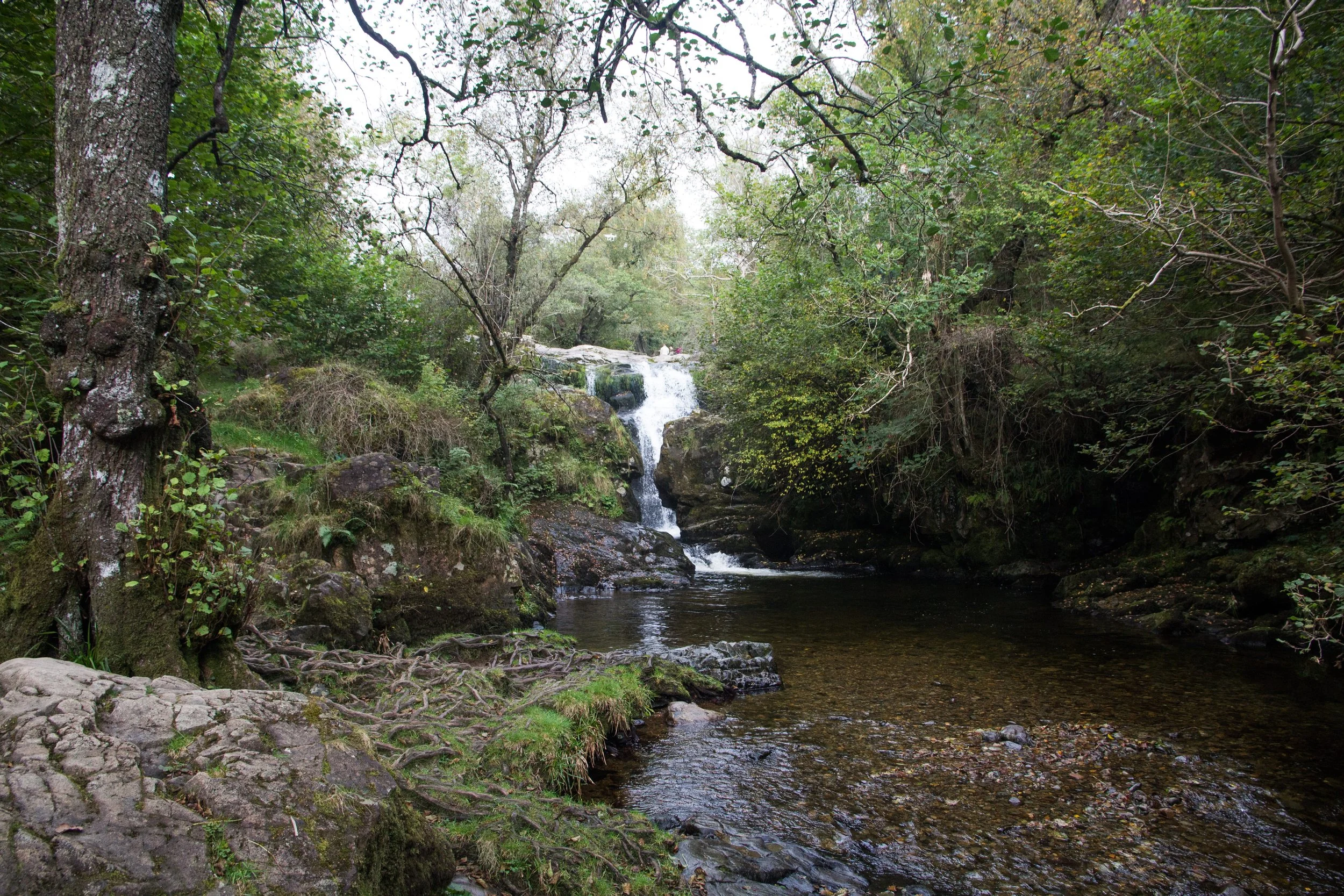 Chasing Waterfalls - Aira Force