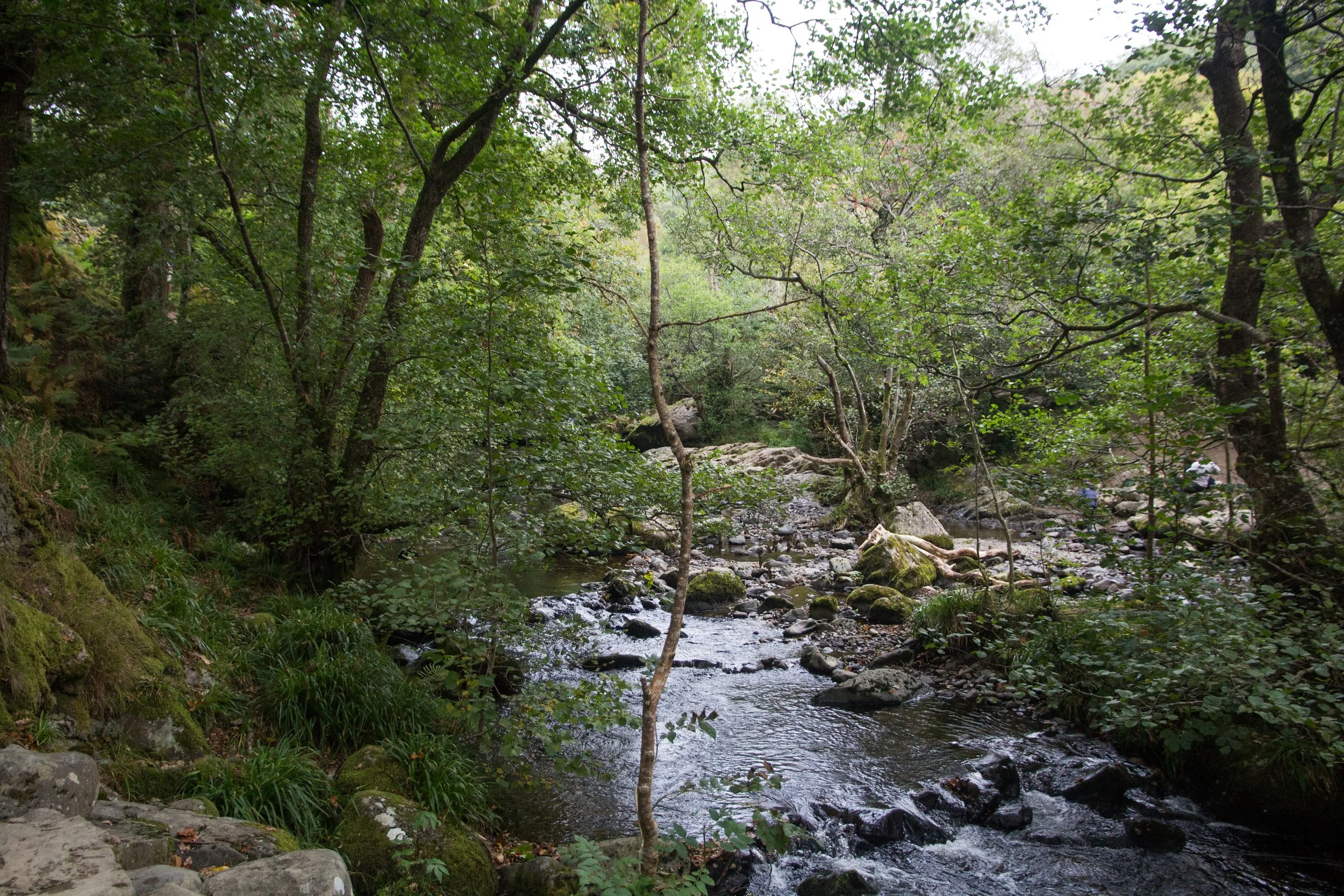 Beyond Cold Water Therapy - Aira Force - River.jpg