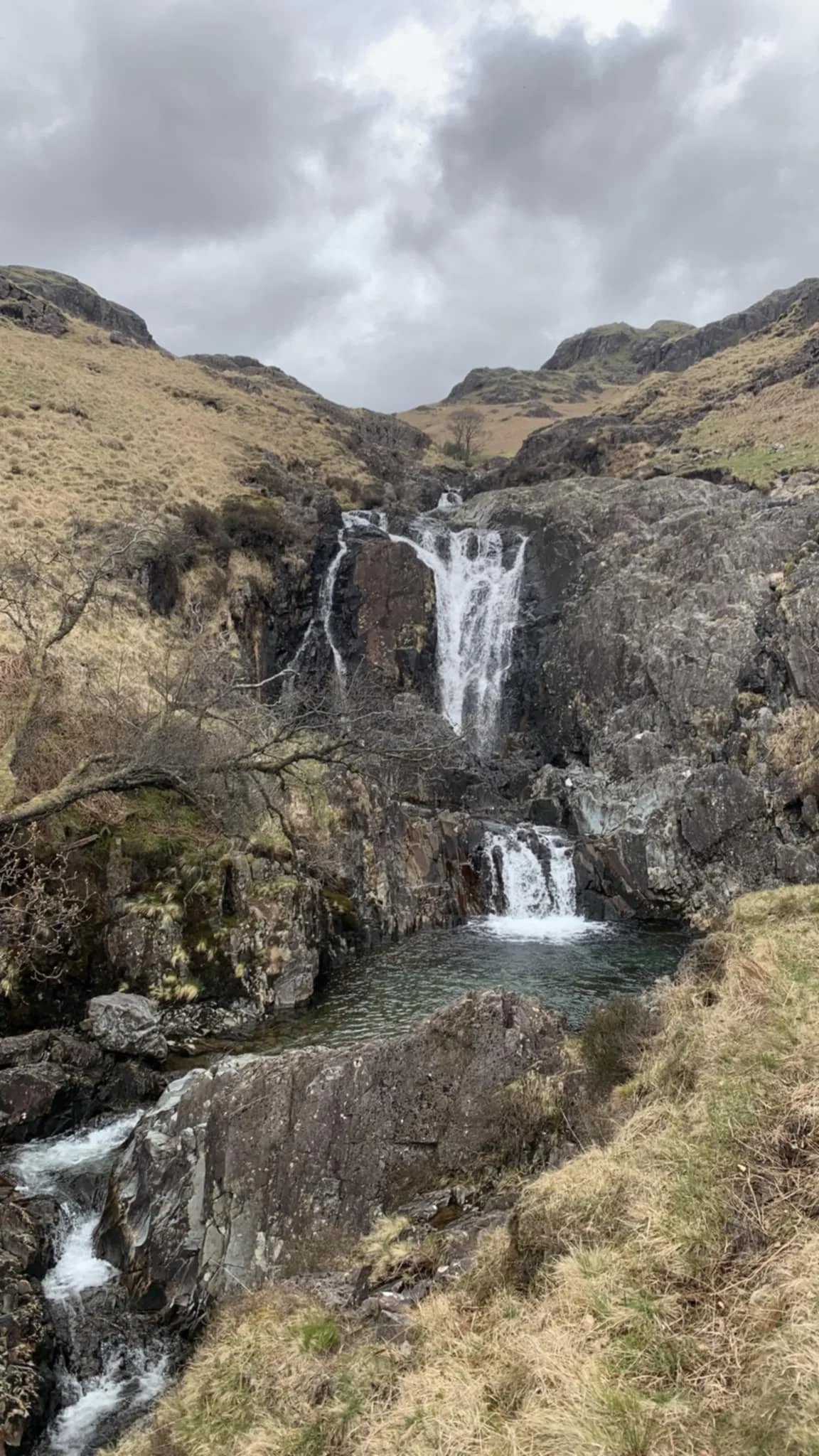 Beyond Cold Water Therapy - Esk Falls.jfif